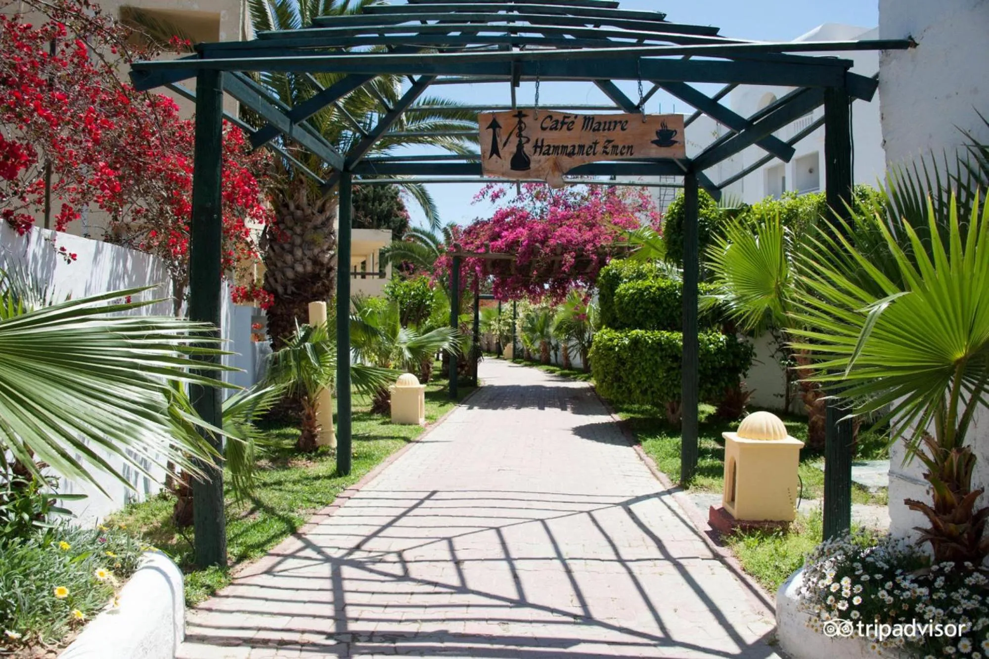 Garden in Hotel Nesrine Hammamet
