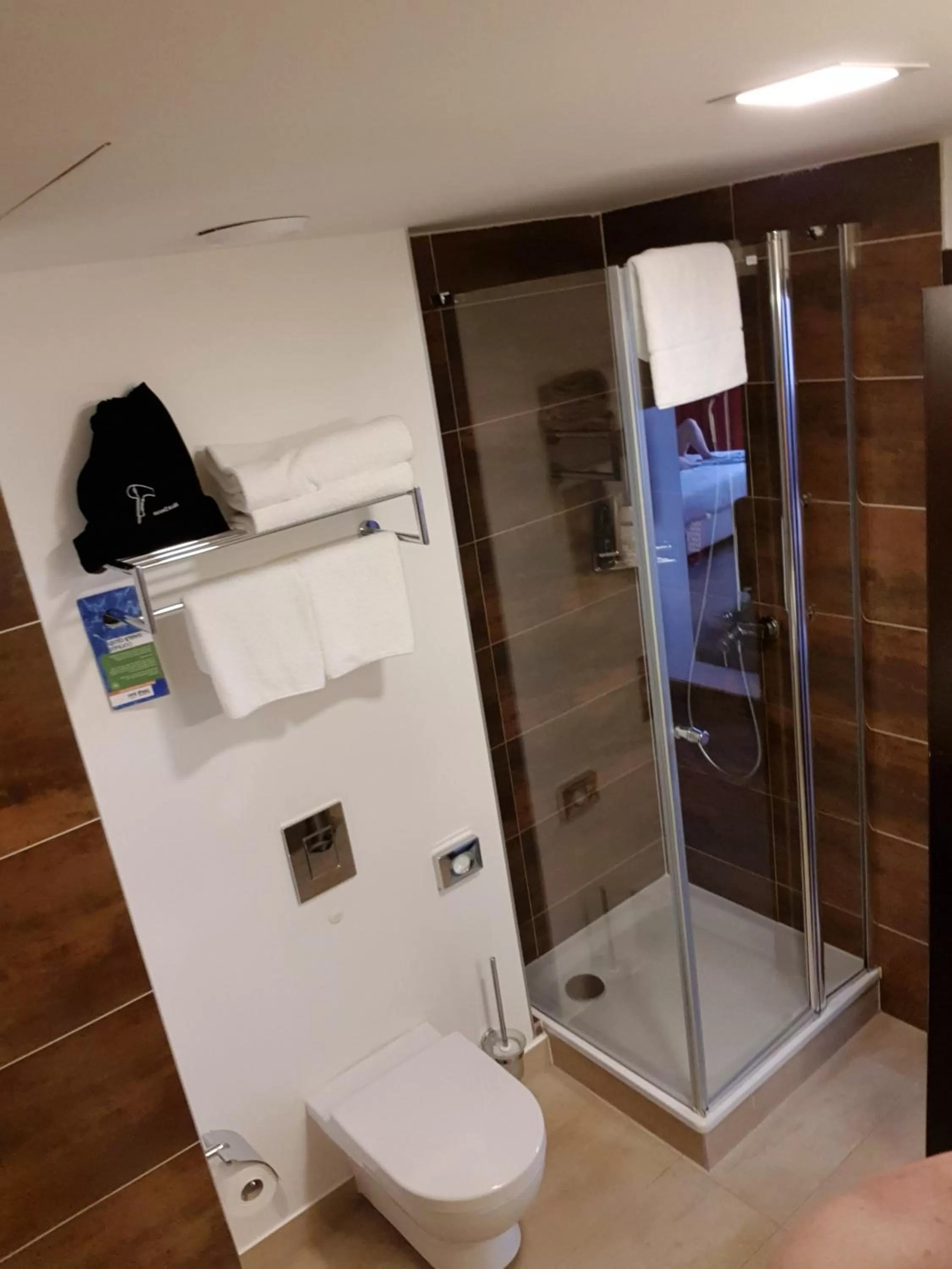 Shower, Bathroom in Hotel Am Rosenpark