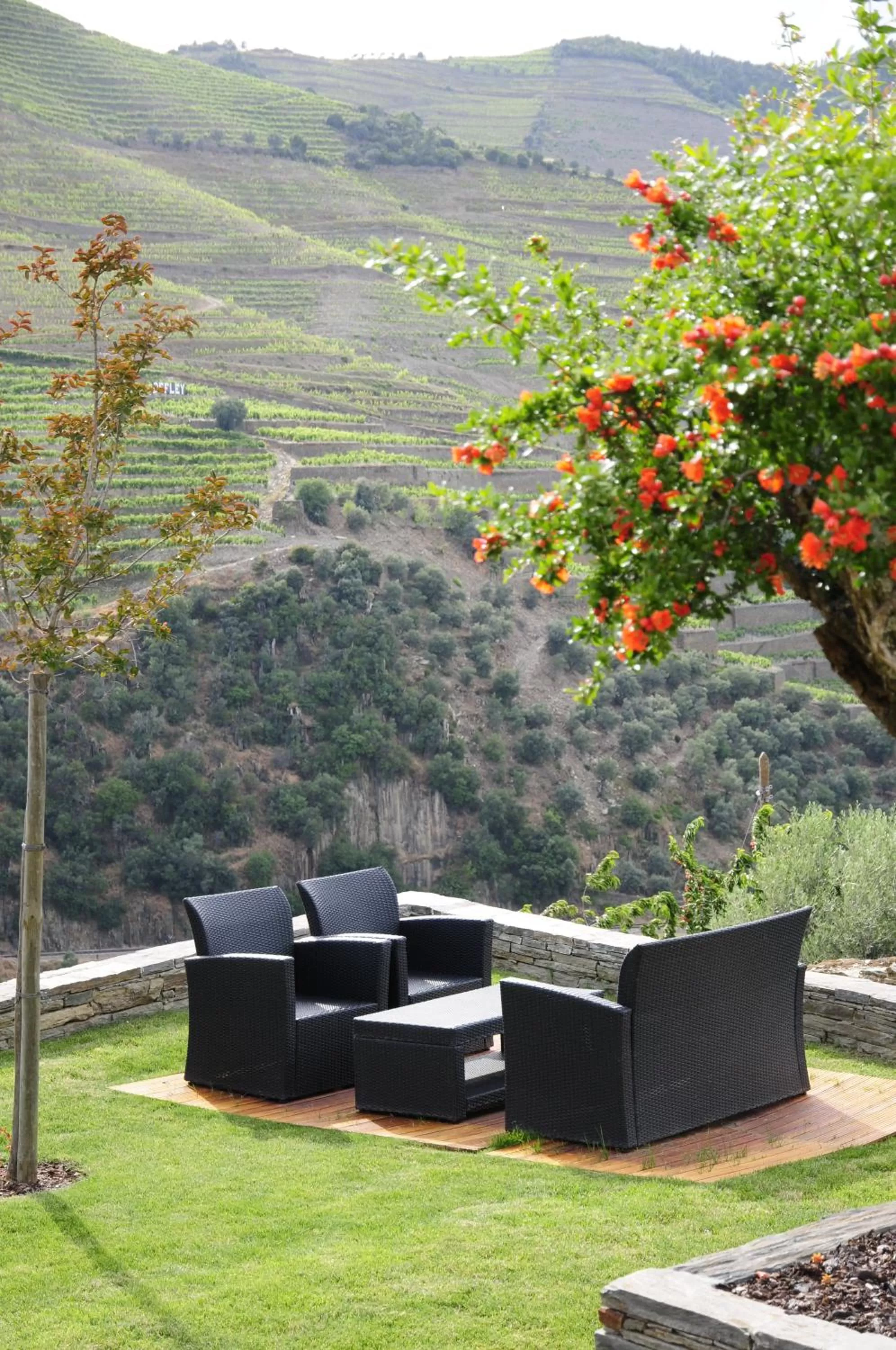 Garden in Hotel Rural Quinta Do Pego