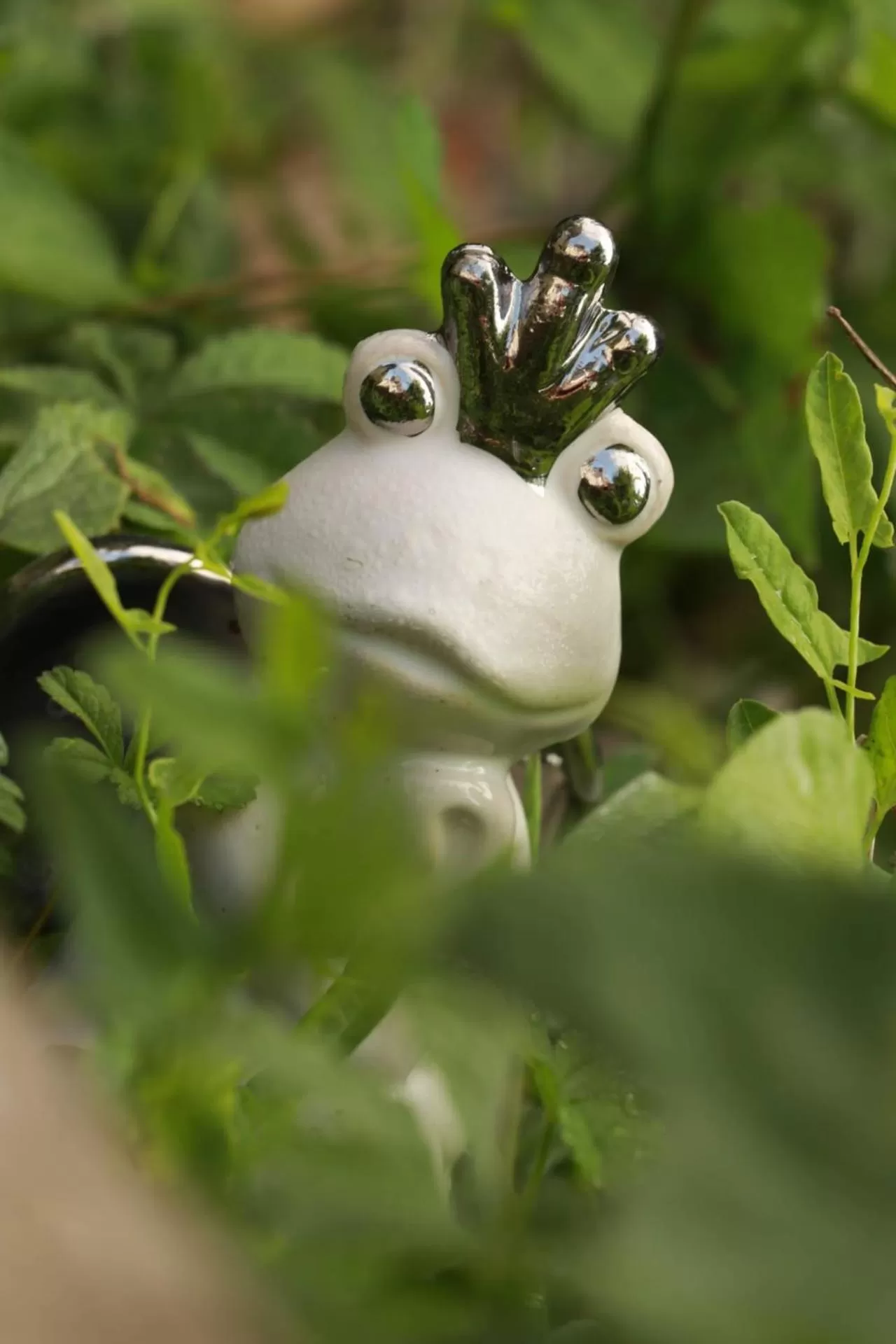 Garden, Other Animals in La Maison des Copains
