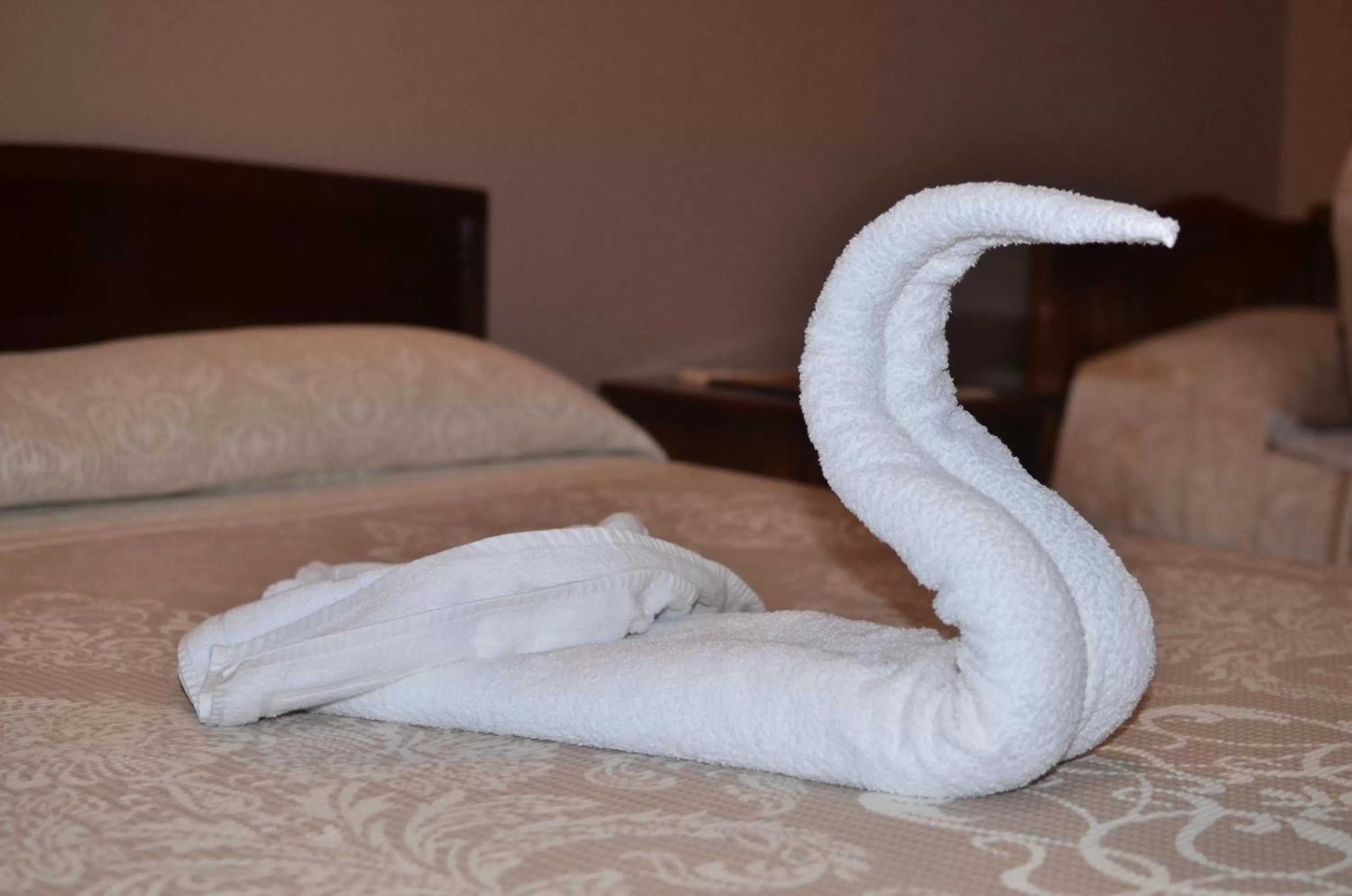 Triple Room in Real Scampis Hotel