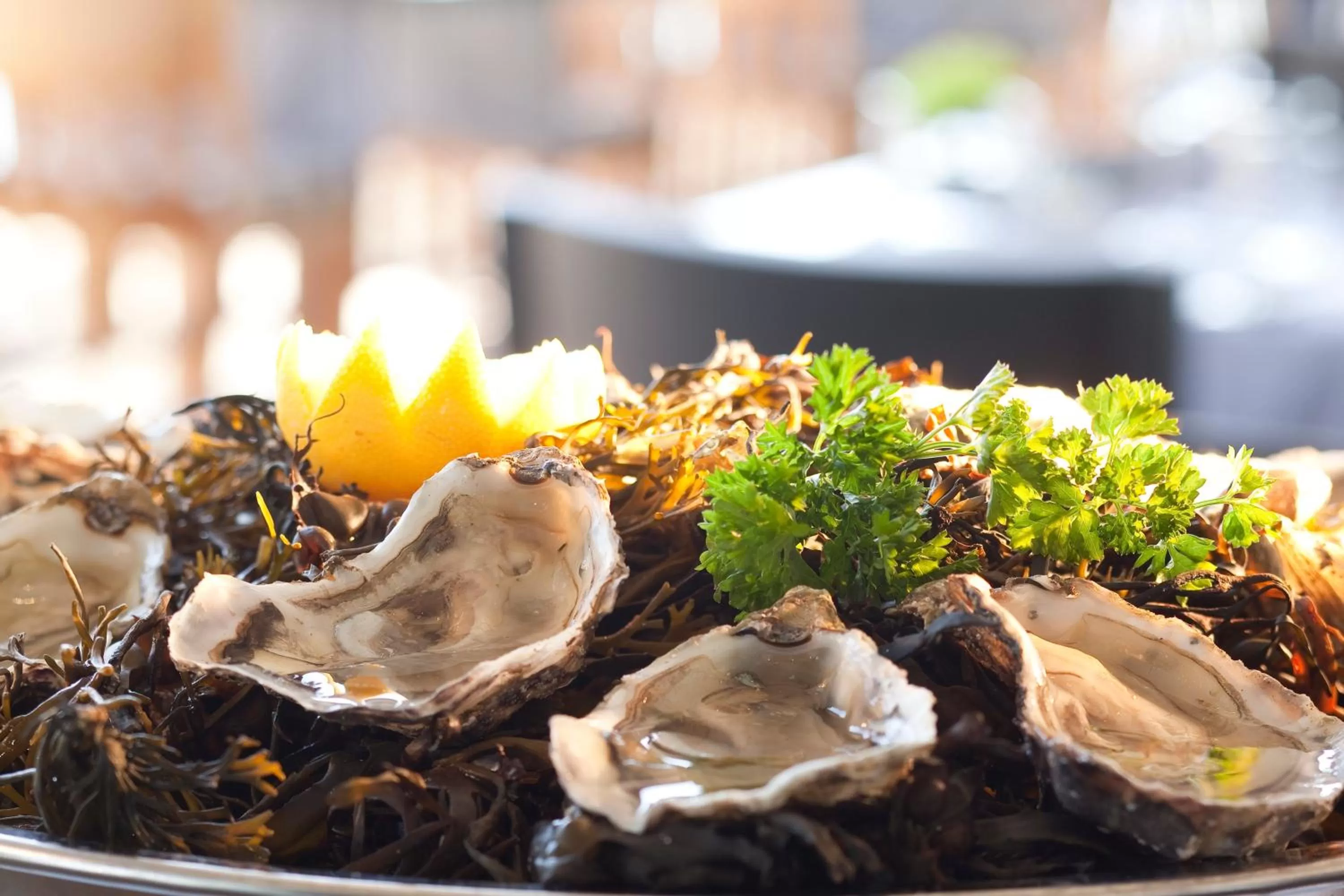 Restaurant/places to eat in Grand Hotel de L'Océan