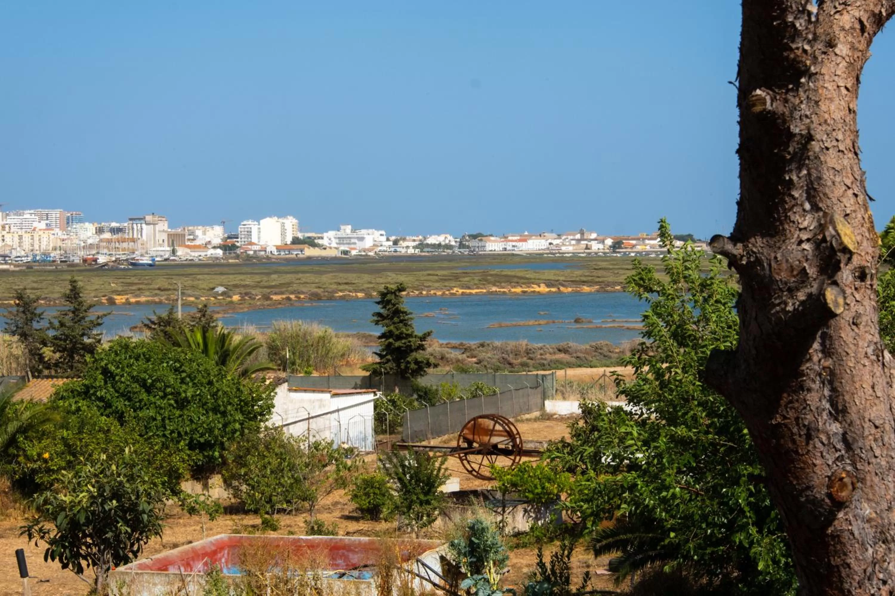 Ria Formosa Guest House