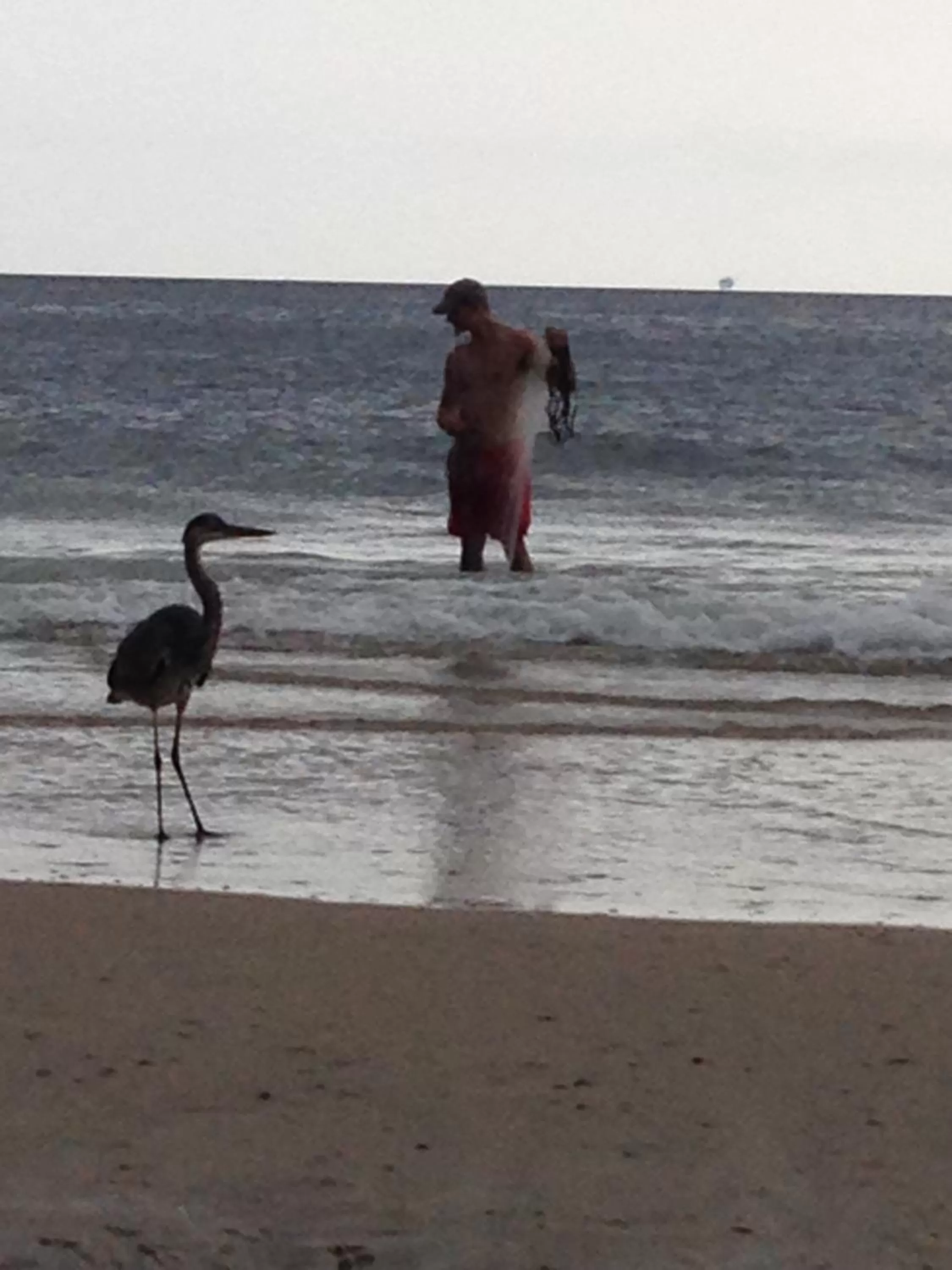 Sea view in Gulf Shores Plantation