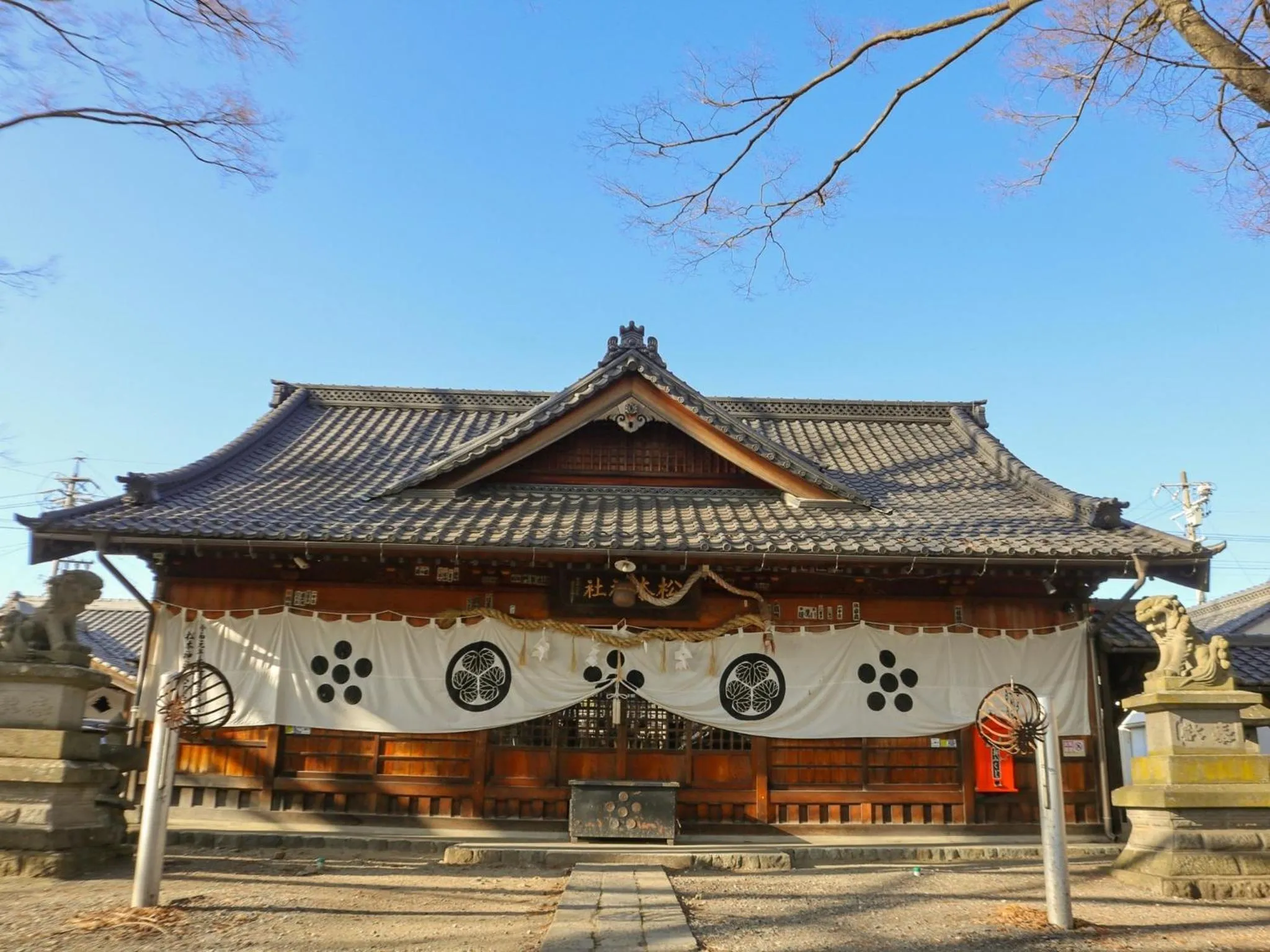 Area and facilities in Hotel Buena Vista