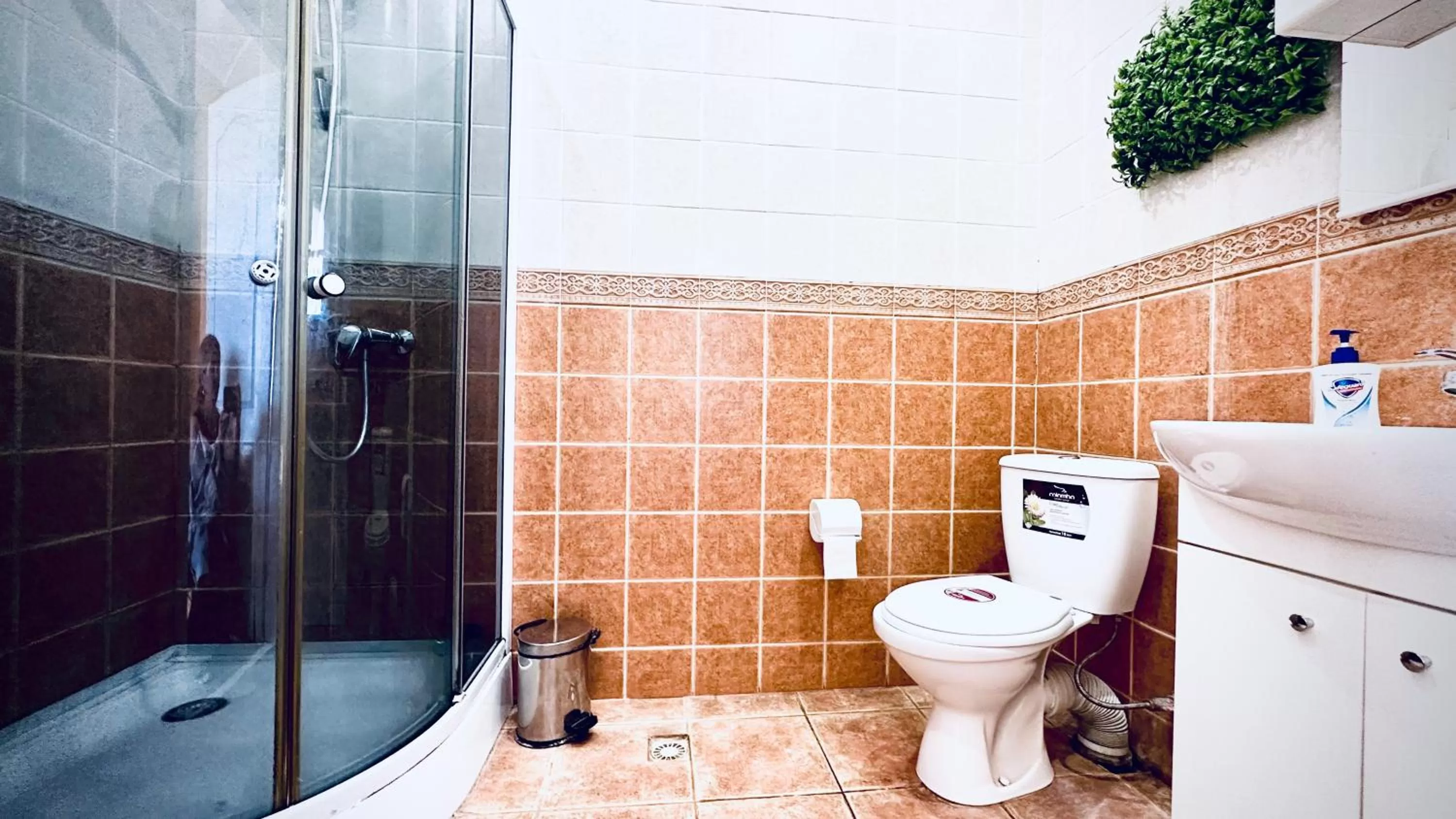 Shower, Bathroom in Blaz