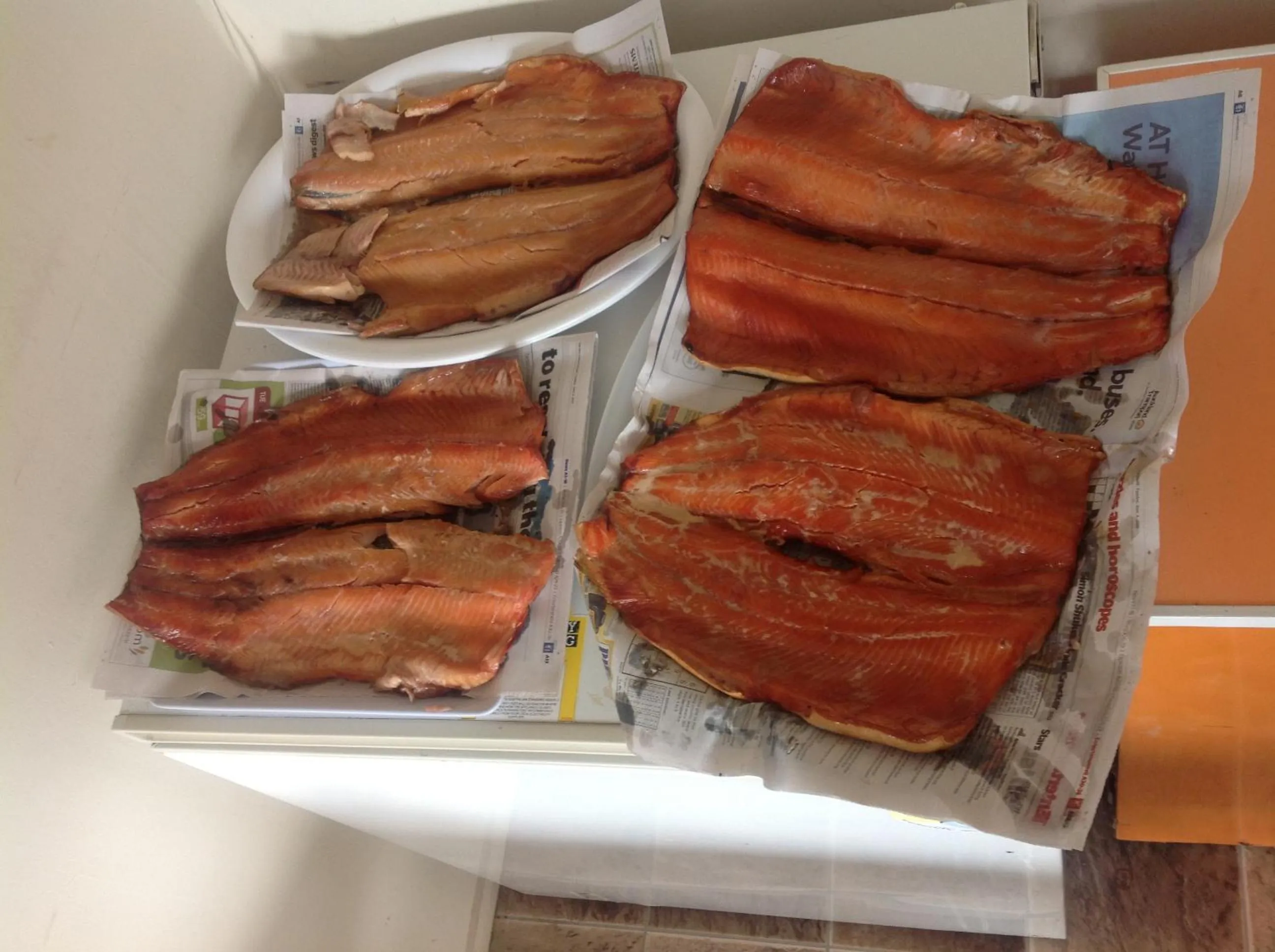 Fishing in All Seasons Holiday Park