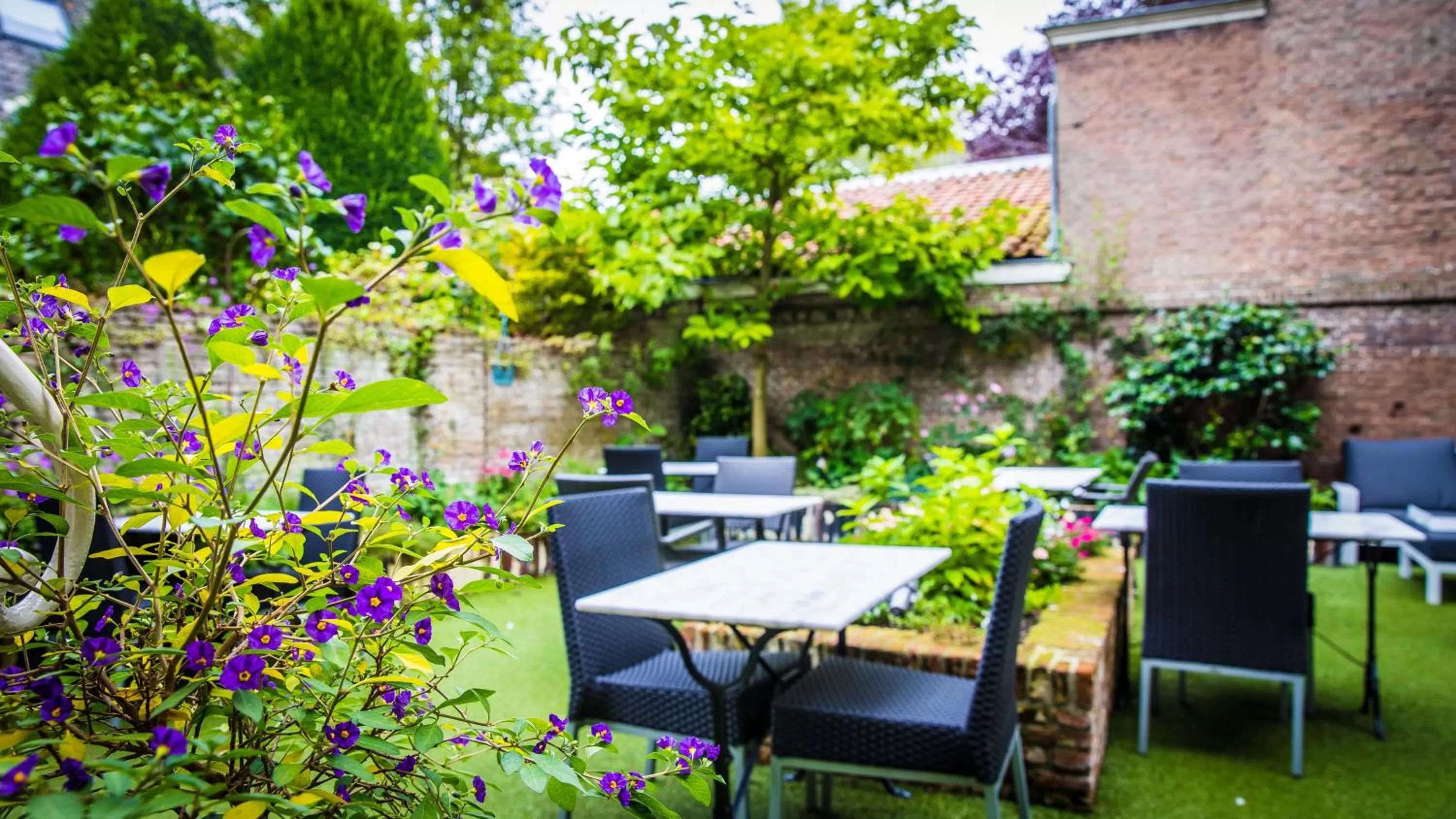 Garden in B&B 't Poorthuys