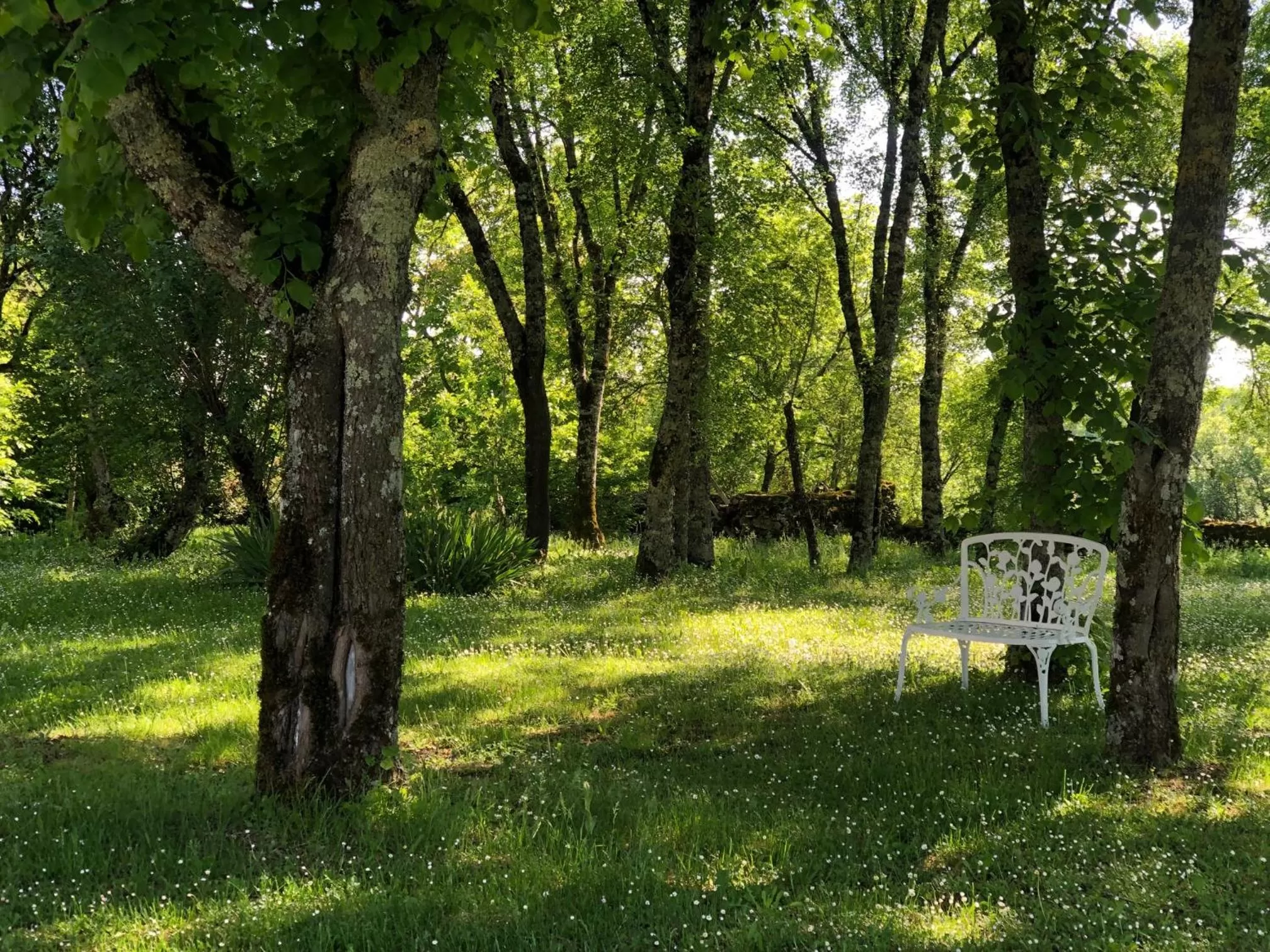 Garden in Domaine de Monplaisir
