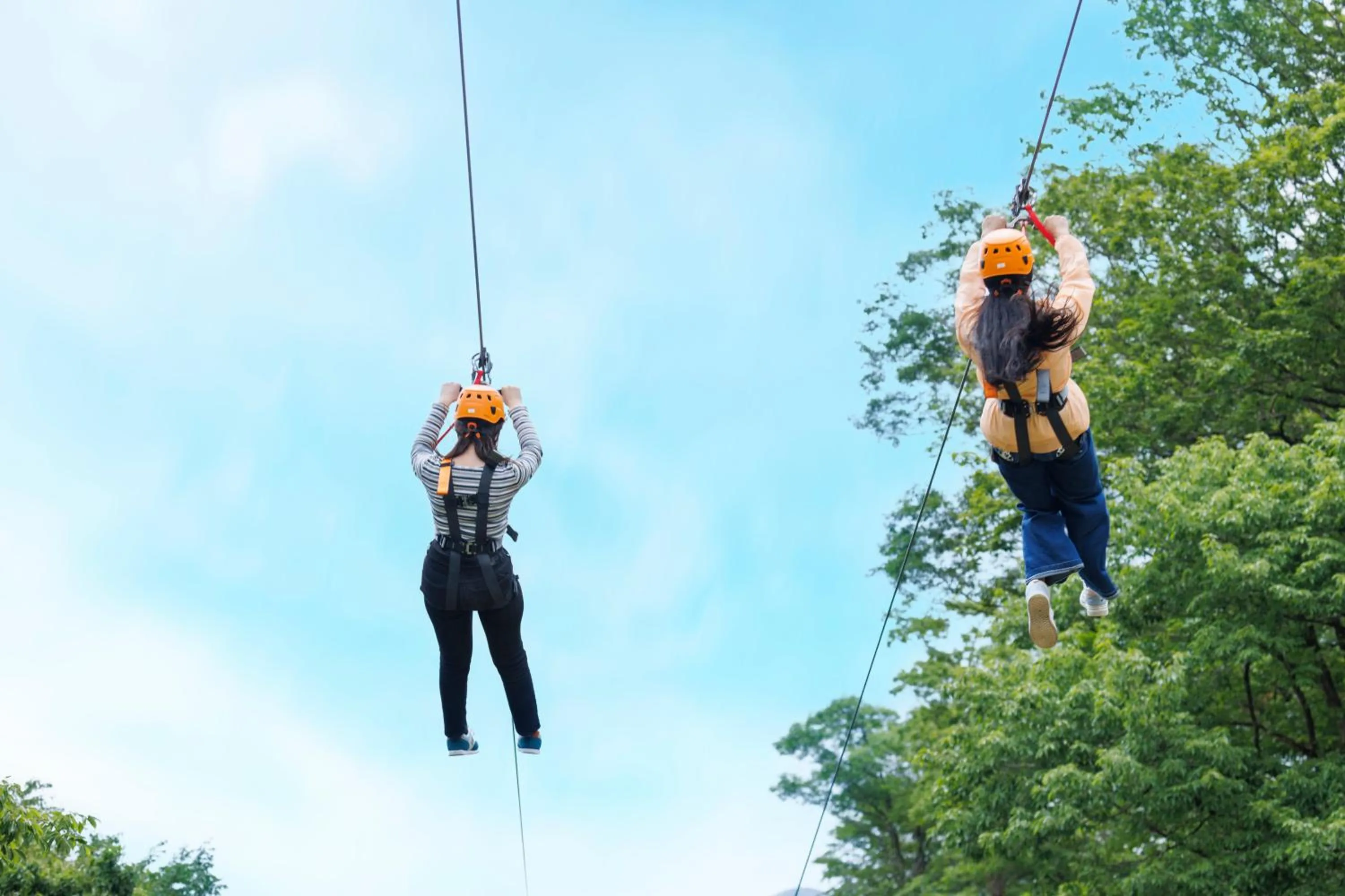Activities in Hotel Laforet Shuzenji