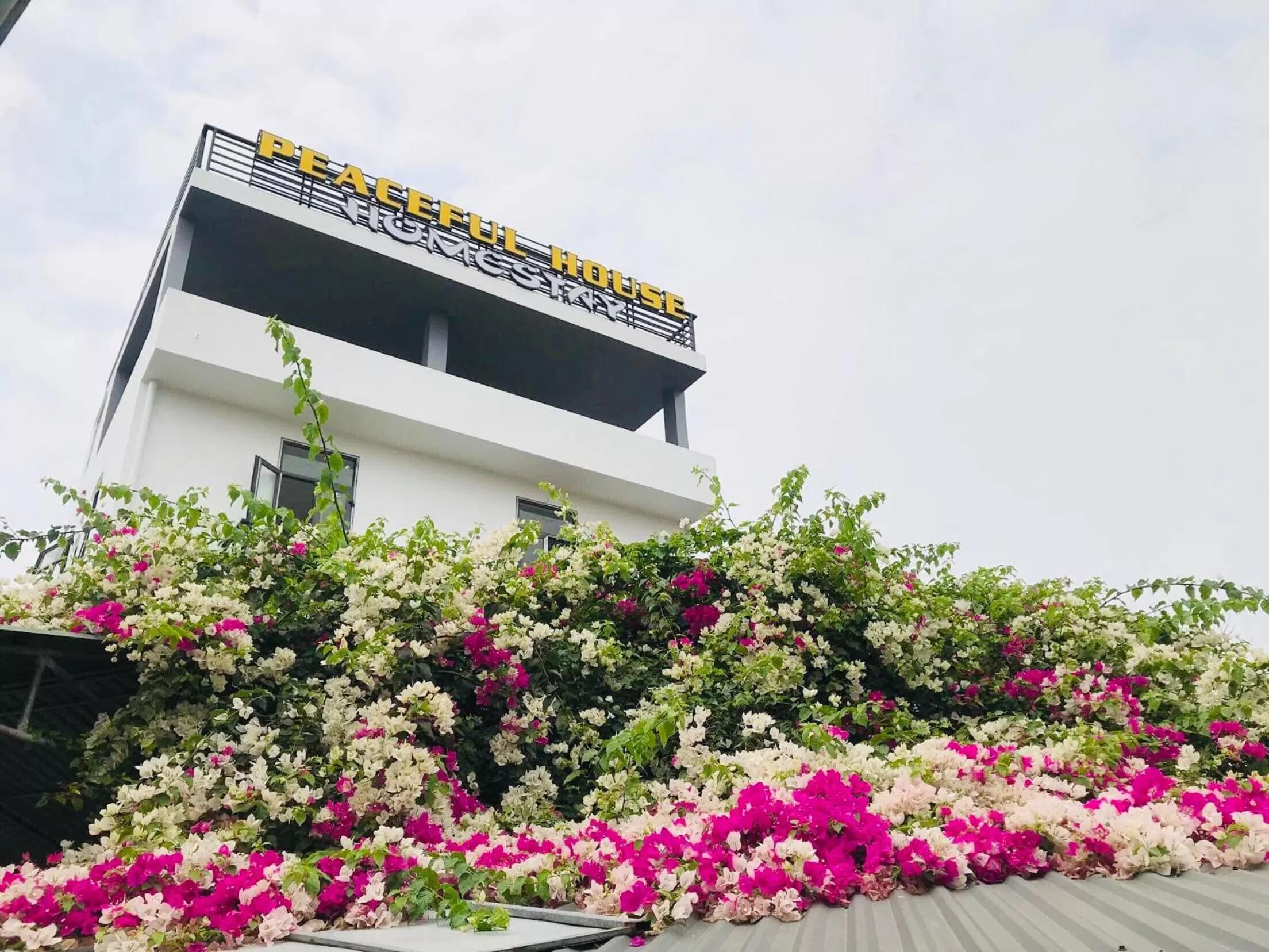 Property Building in Peaceful House Hostel