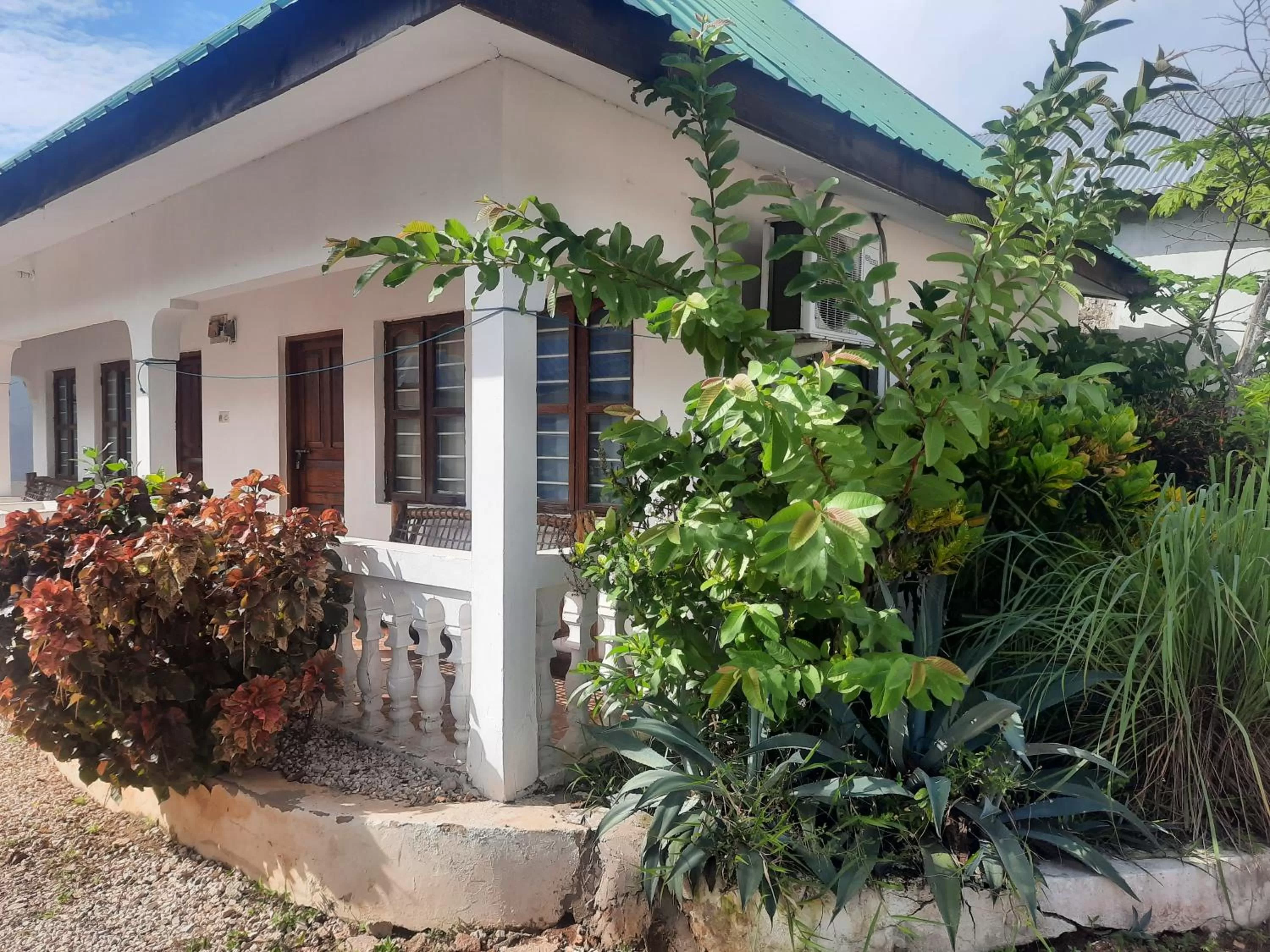 Property Building in Ames Nungwi