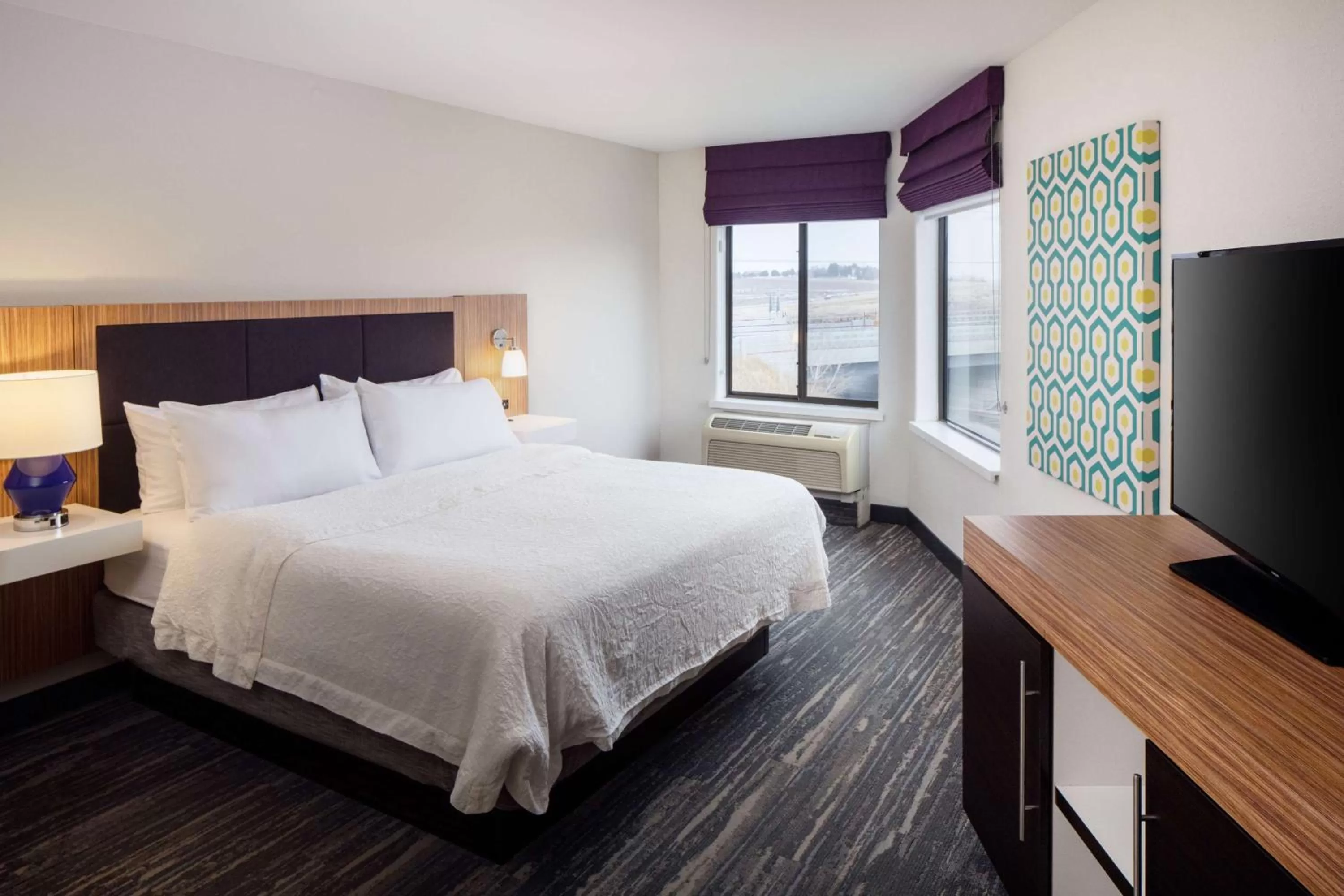 King Studio with Sofa Bed - Non-Smoking in Hampton Inn & Suites Parker