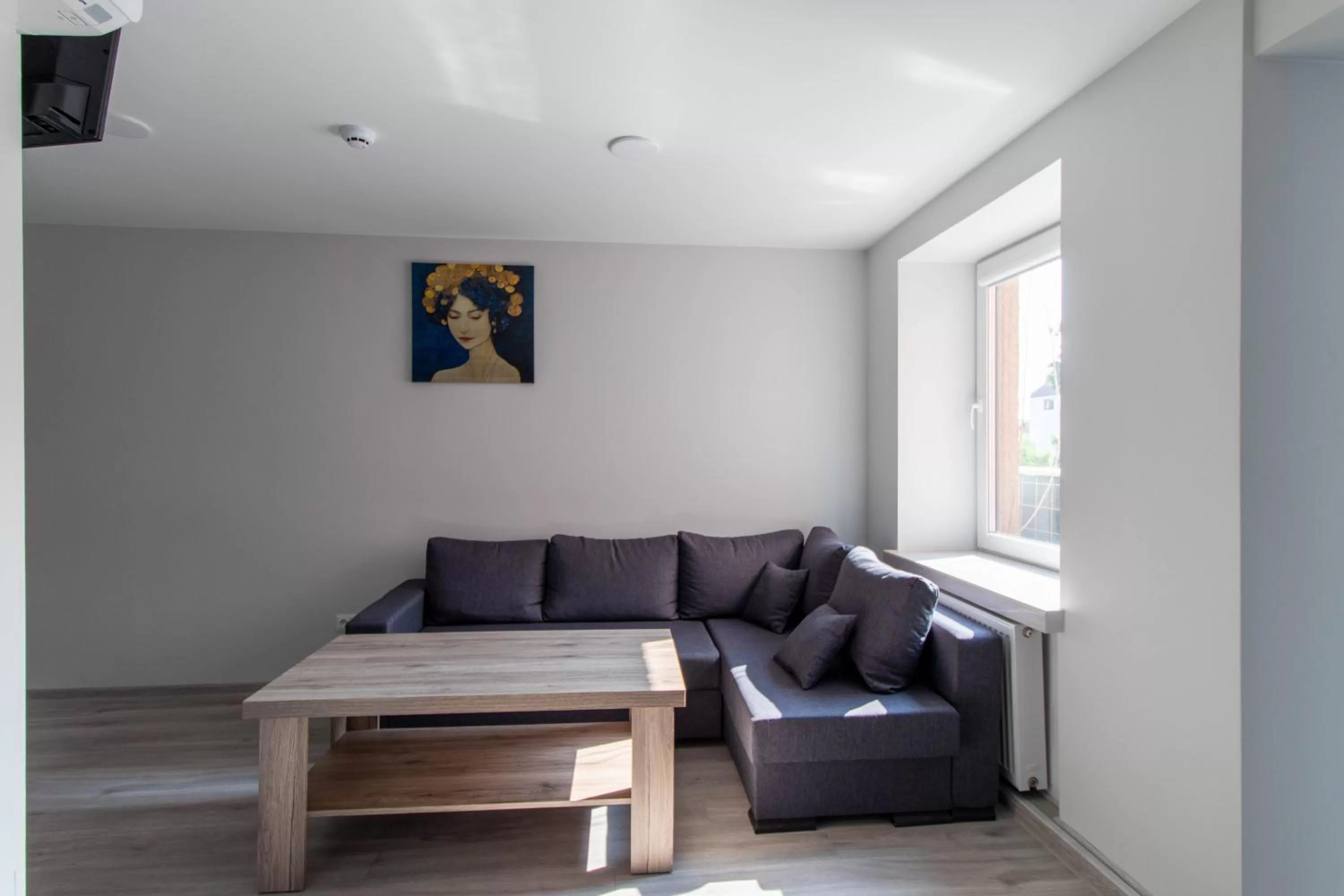 Seating Area in Dzukija Hotel