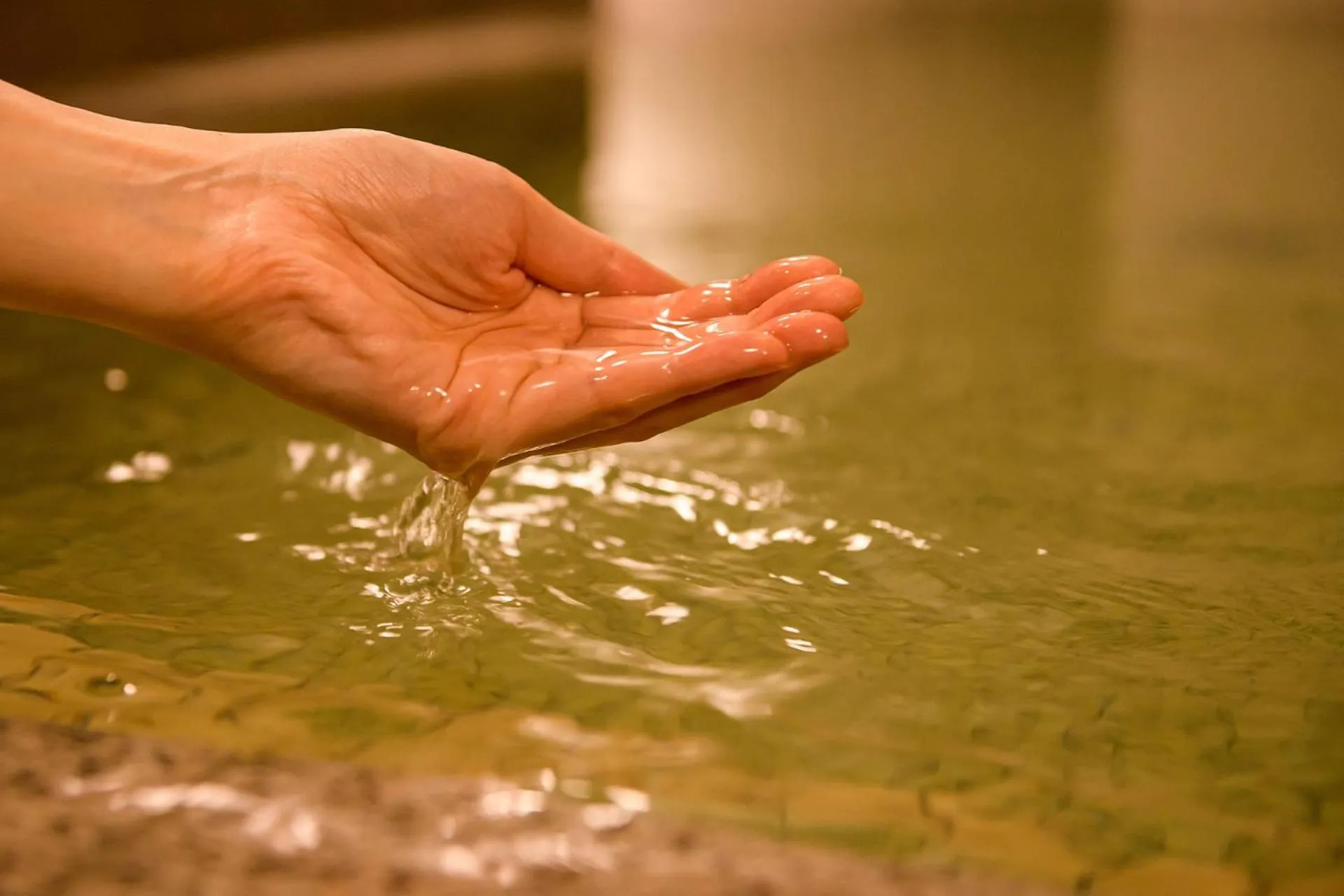 Area and facilities in Hotel Asyl Nara