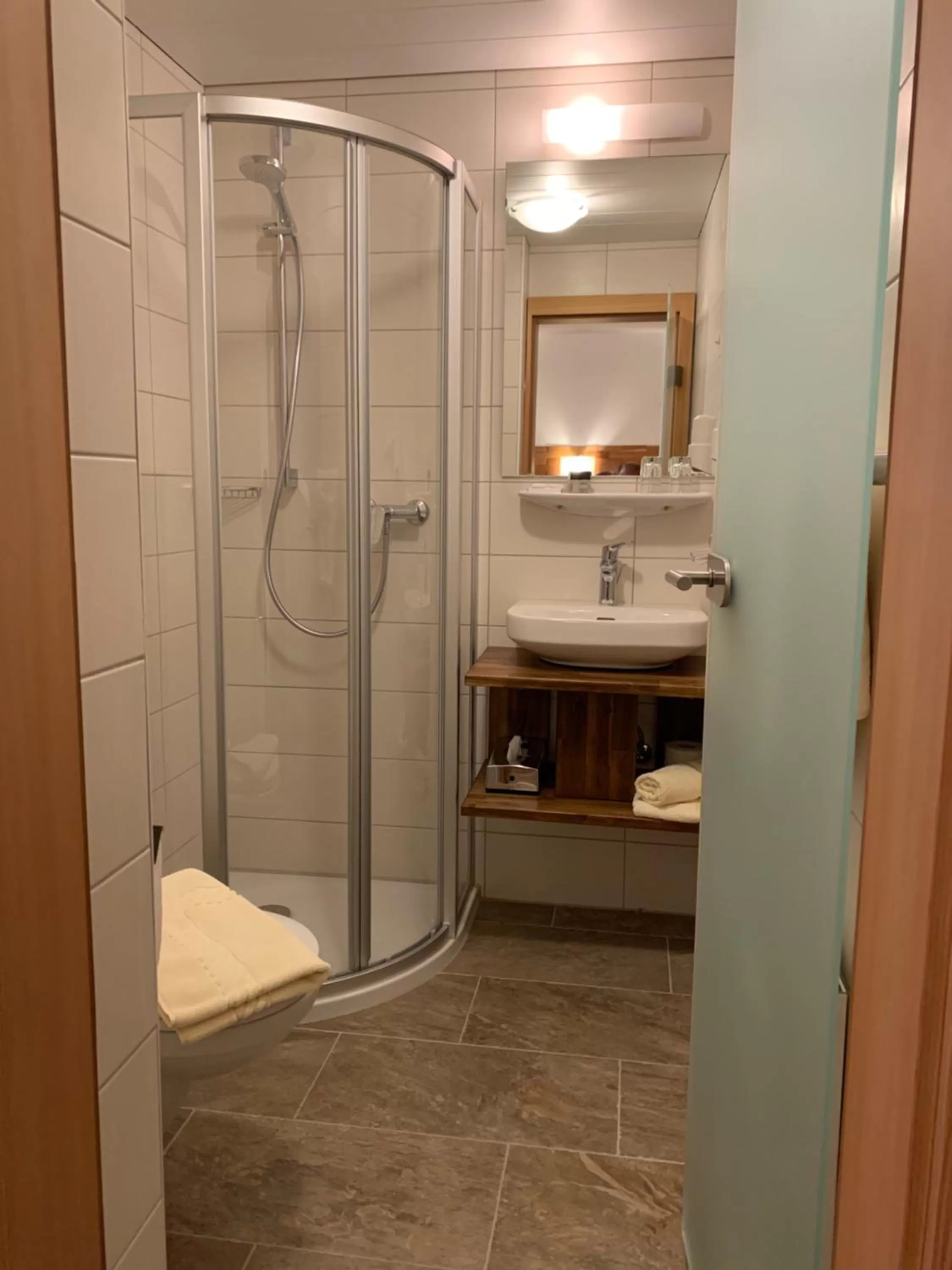 Bathroom in Hotel Engl