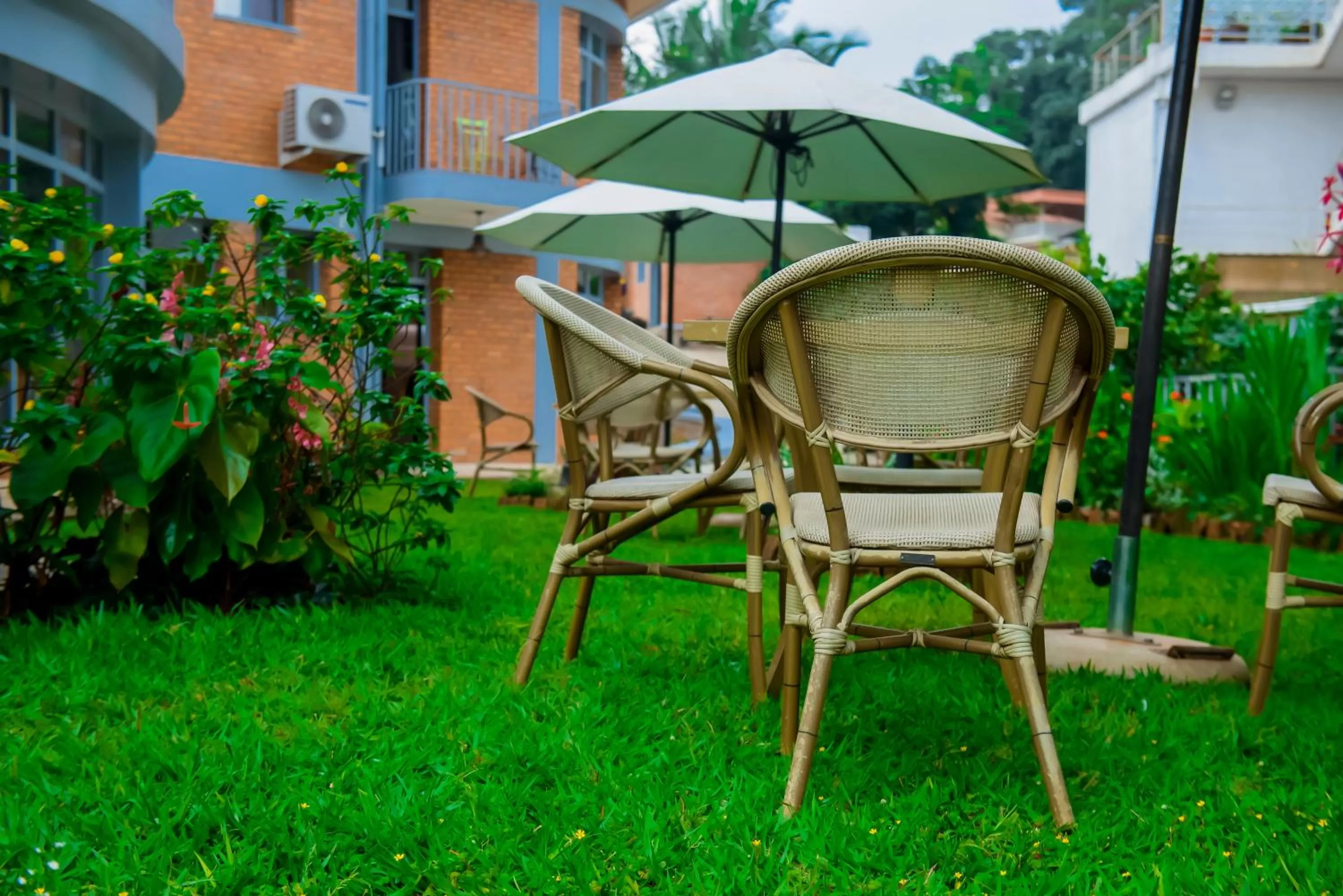 Garden in One Click Hotel