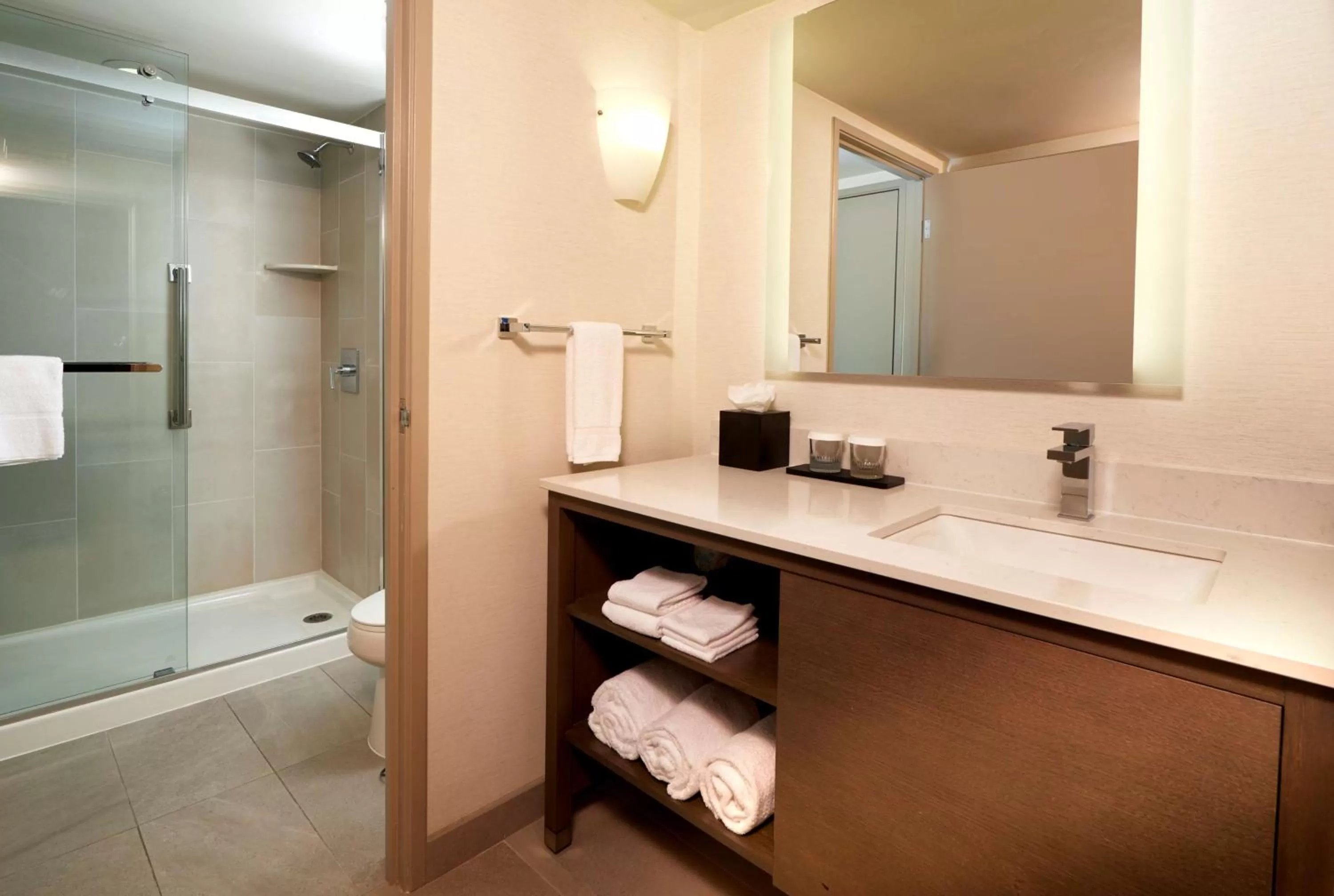 Bathroom in Embassy Suites by Hilton Phoenix Scottsdale