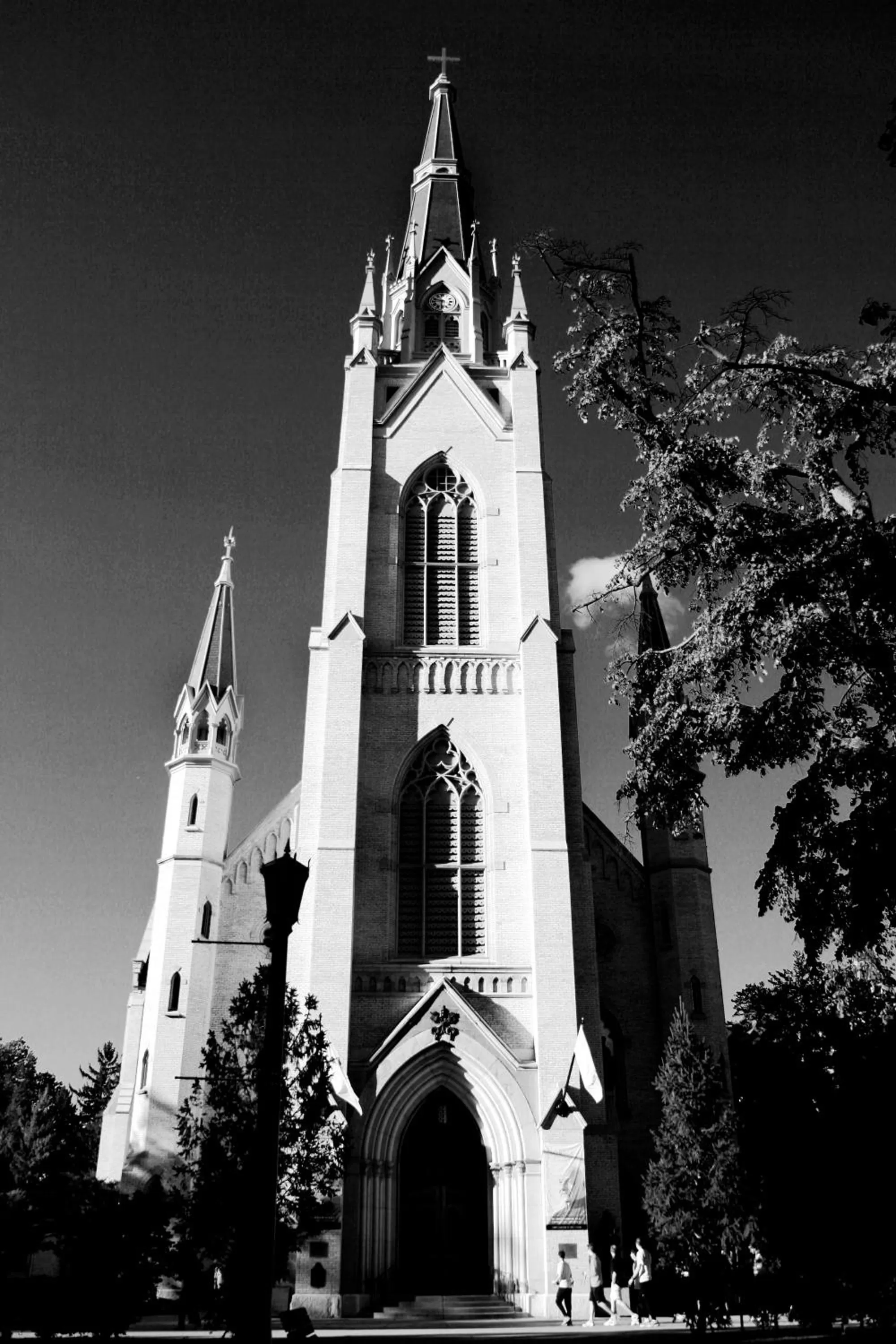 Property building in Hampton Inn & Suites South Bend
