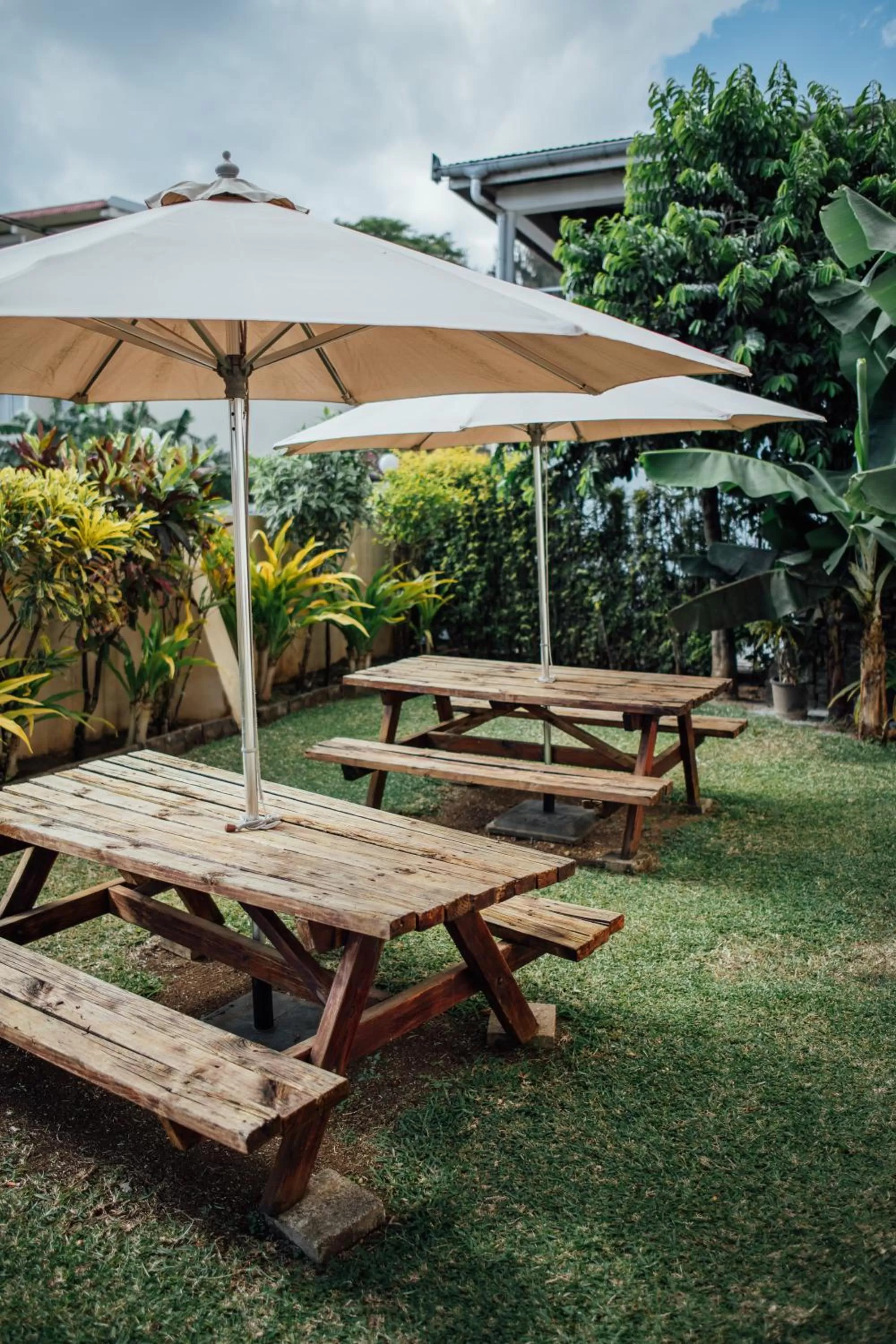 Garden in Kaiviti Motel