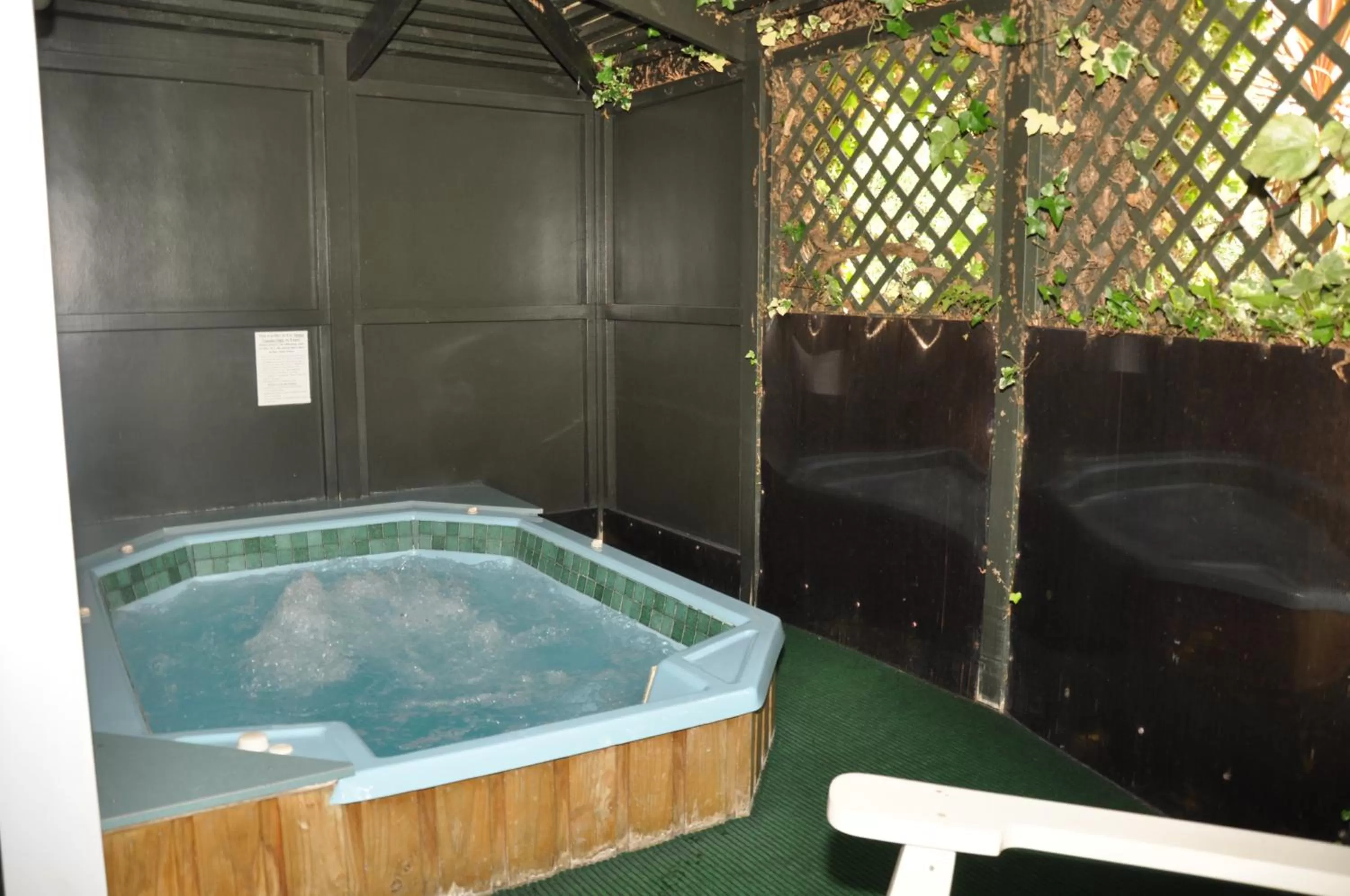 Day in Rose City Motel