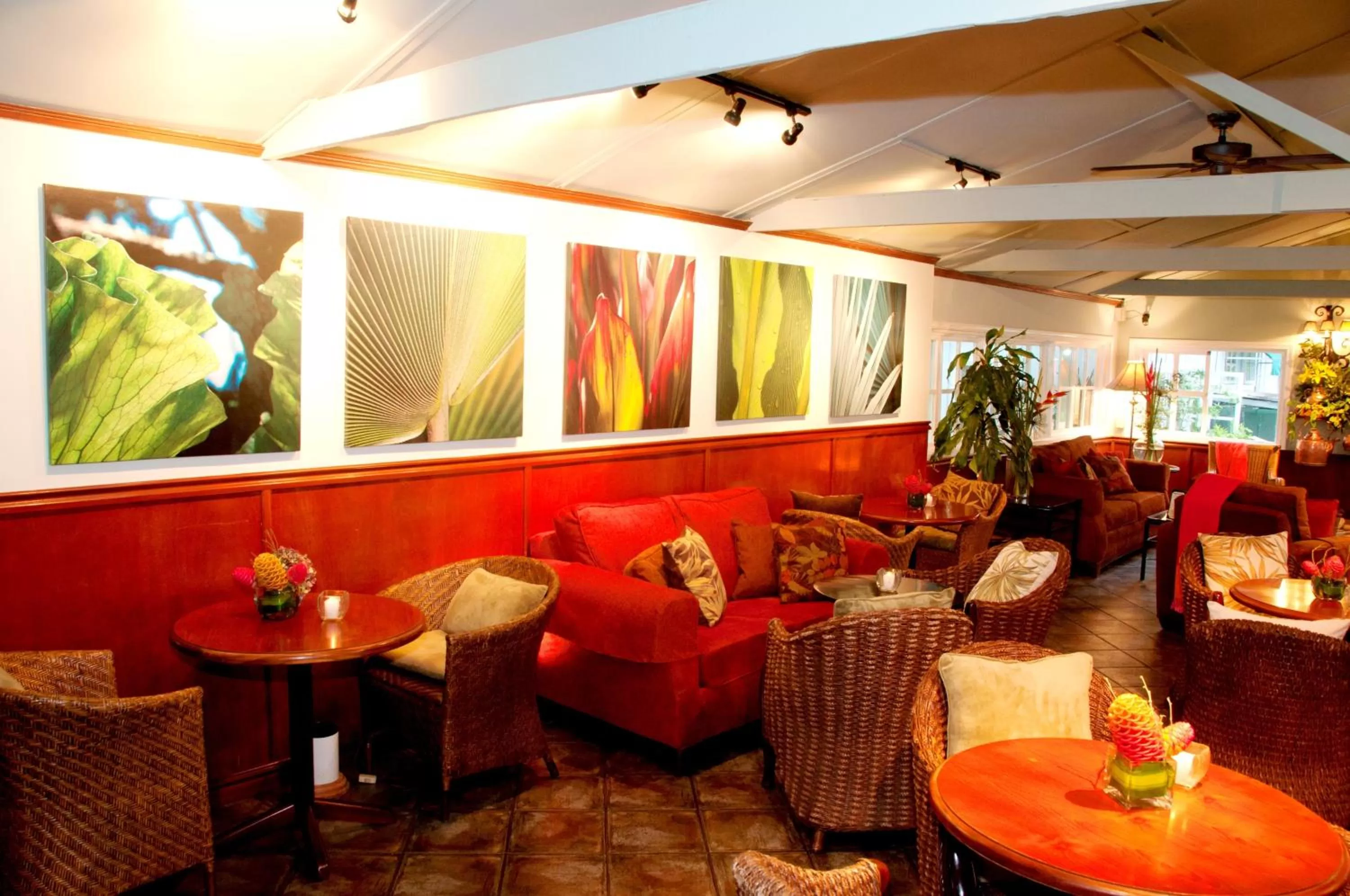 Lounge or bar in Hotel Panamonte