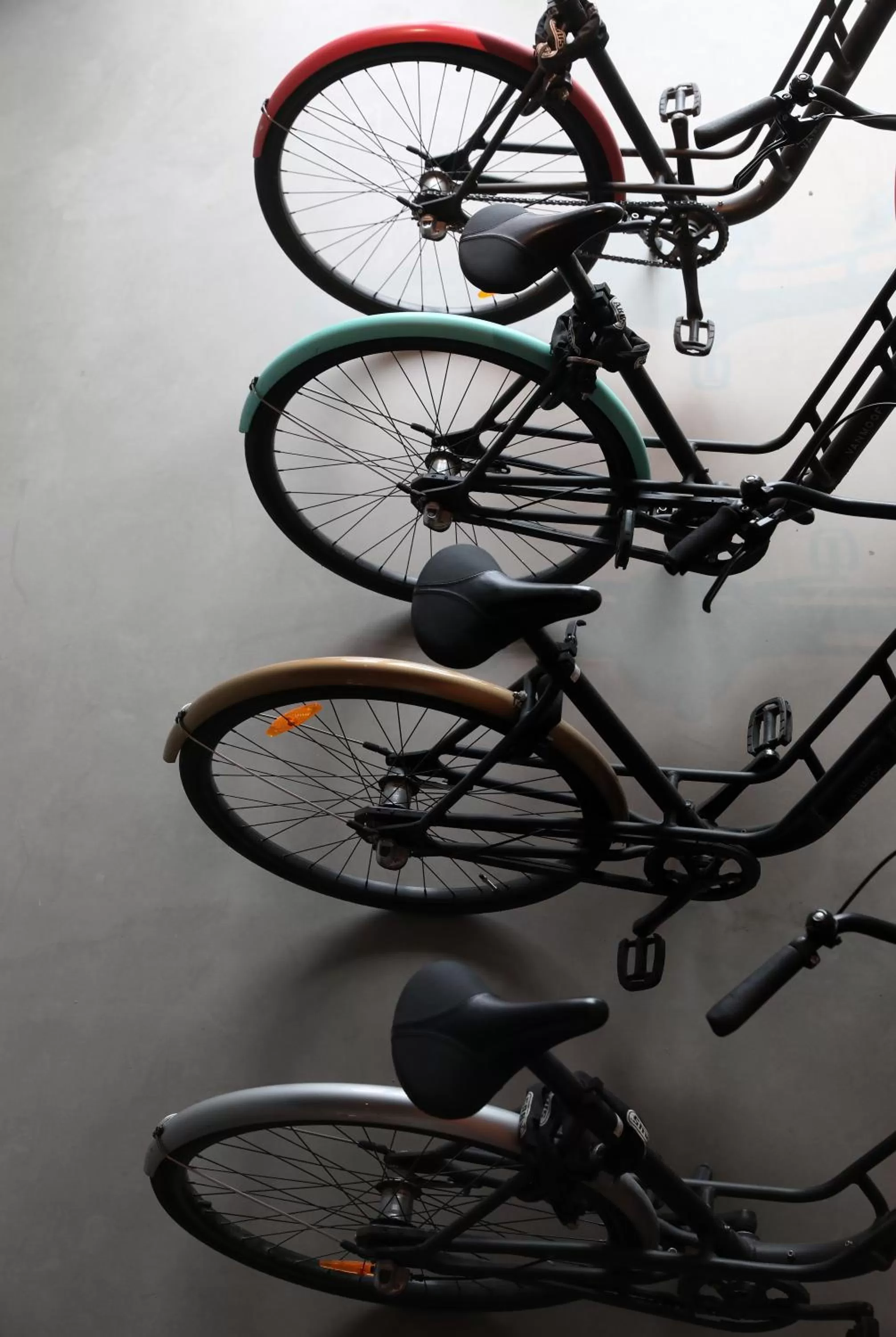 Activities in Best Western Plus Ten Hotel