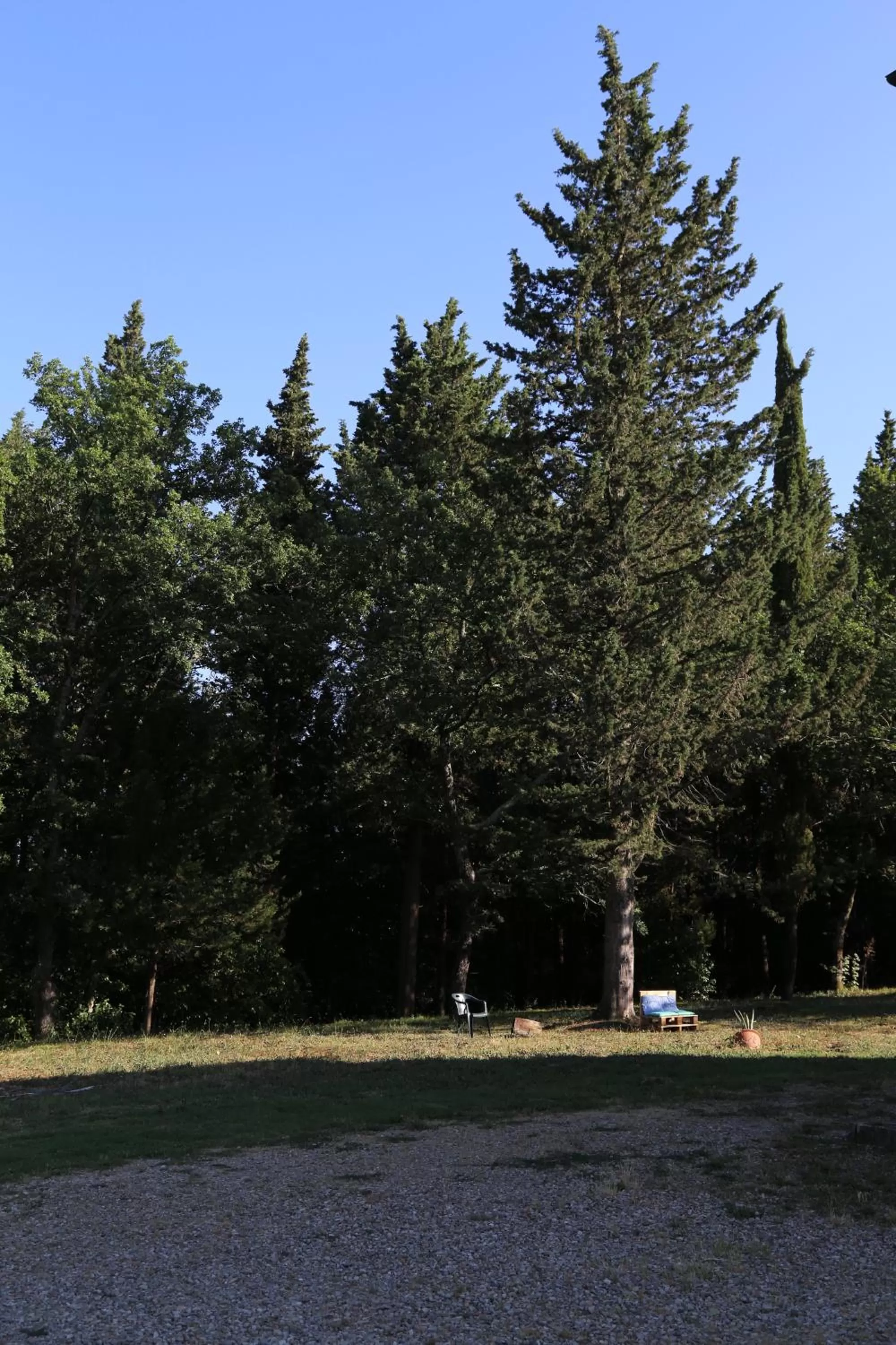 Garden in Villa Albertina