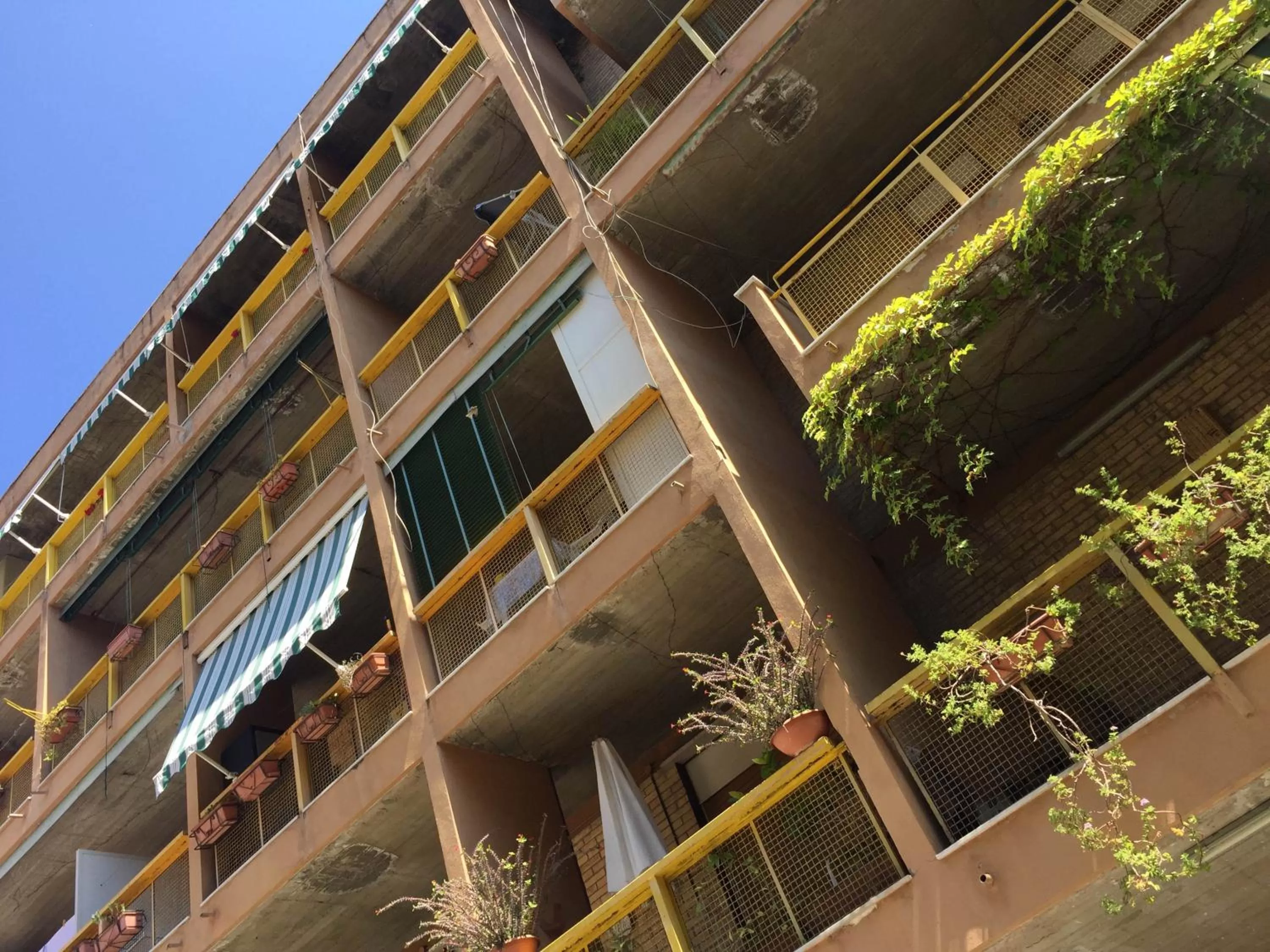 Property building in Mary's house