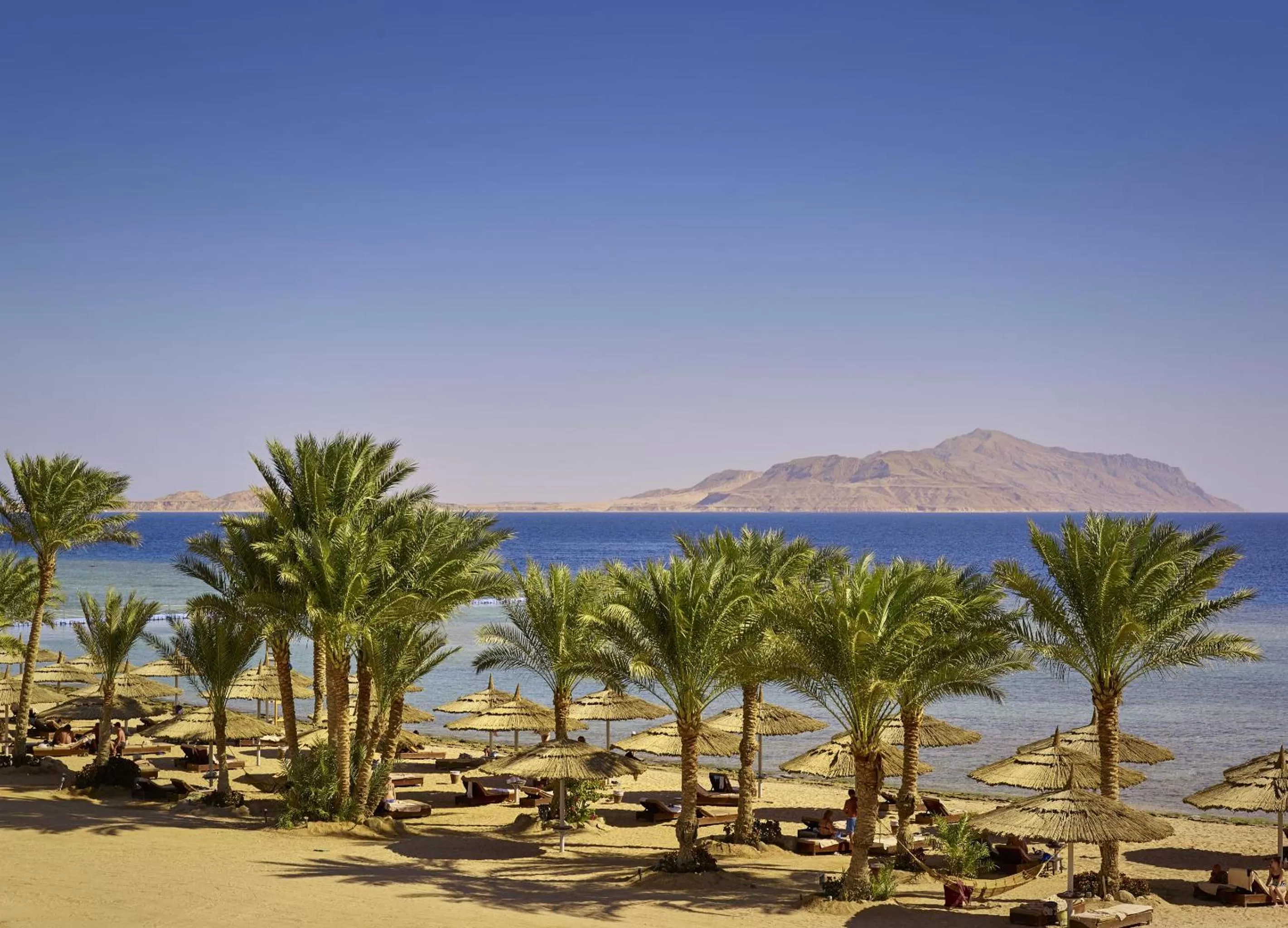 Beach in Coral Sea Imperial "Coral Sea Sensatori"