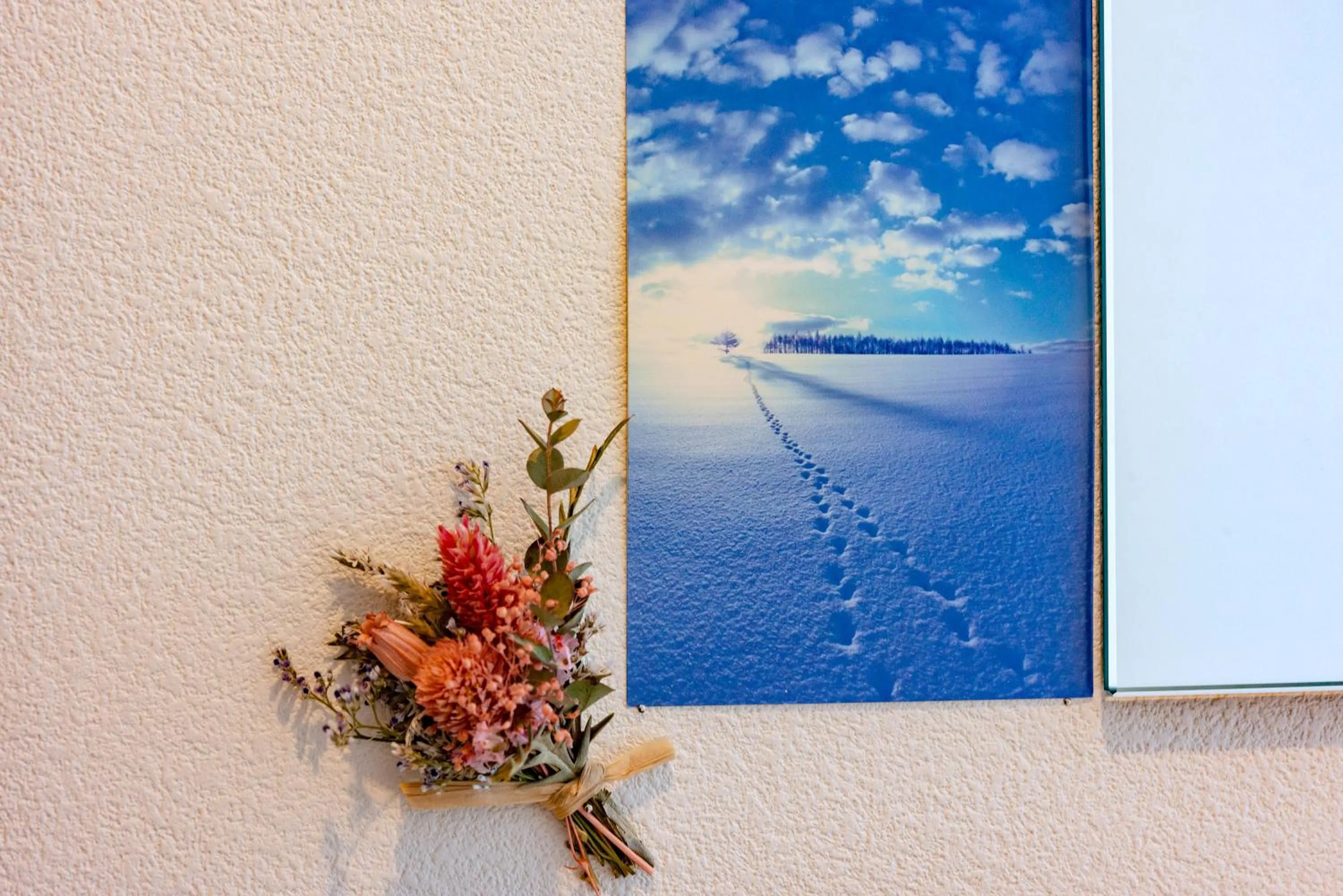 Photo of the whole room in plat hostel keikyu sapporo sky