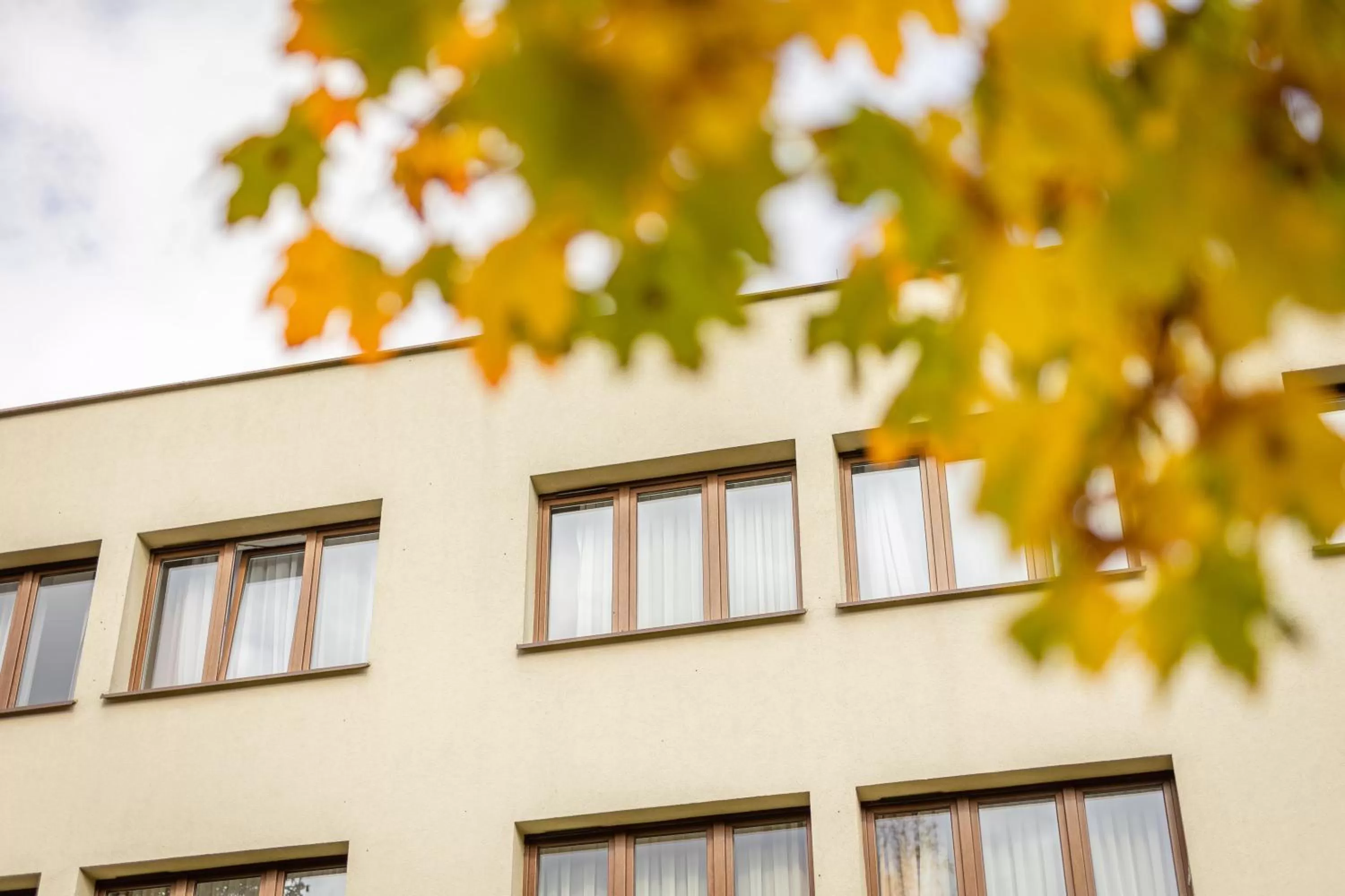 Property building in Hotel Leśny