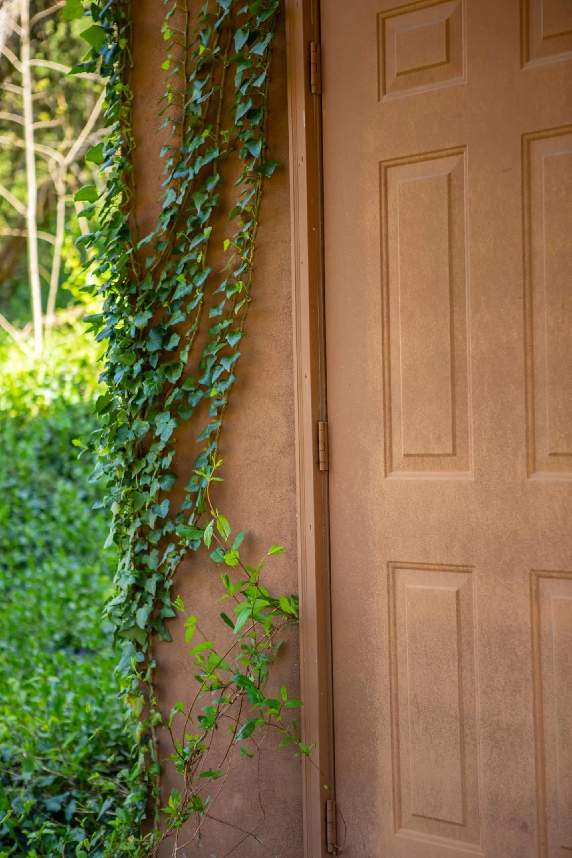 The Chimney Rock Inn & Cottages