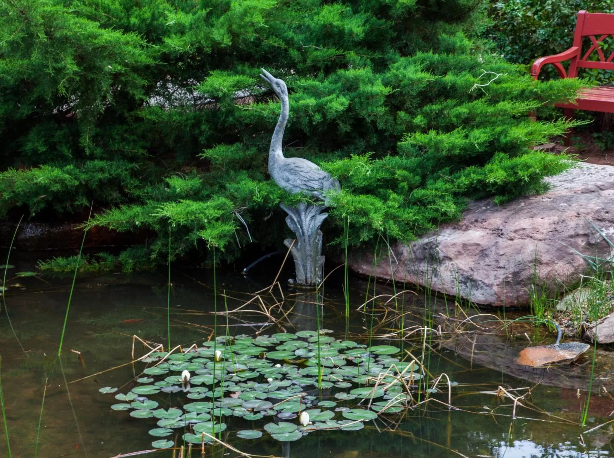 Garden in Flanigan`s Resort and Spa