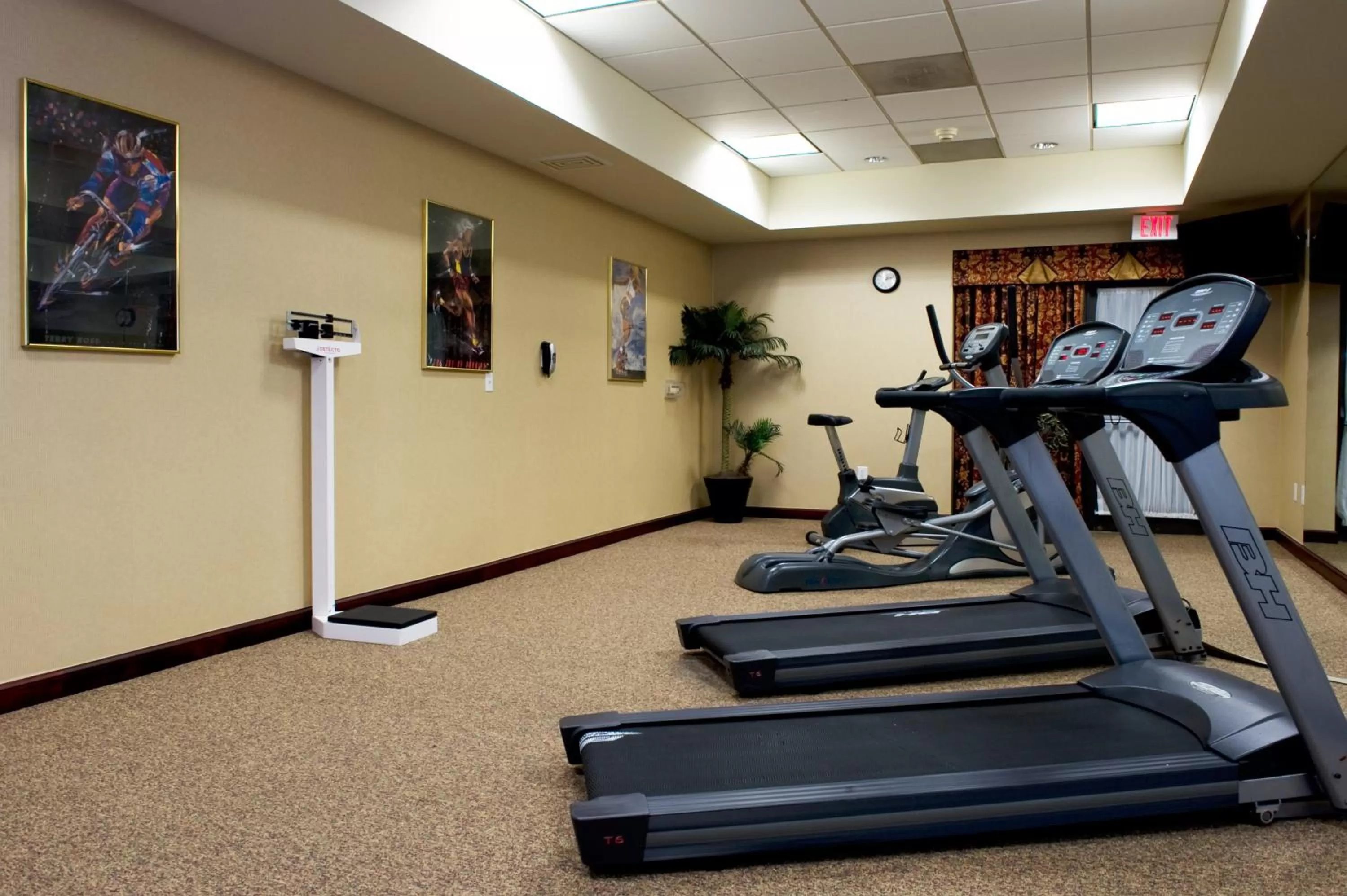 Fitness centre/facilities in Holiday Inn Express Hotel & Suites Dallas Fort Worth Airport South by IHG