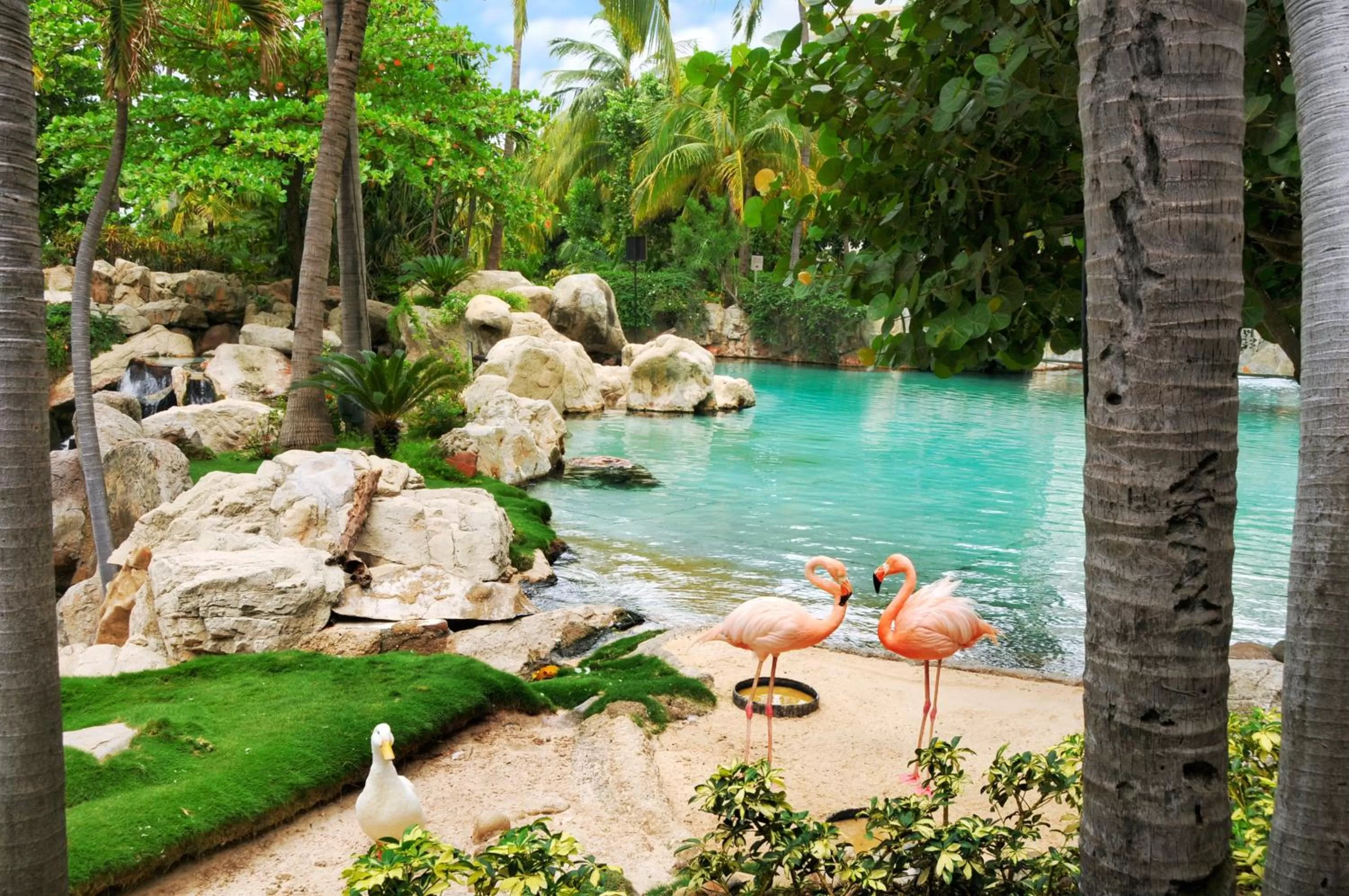 Animals in Princess Mundo Imperial Riviera Diamante Acapulco