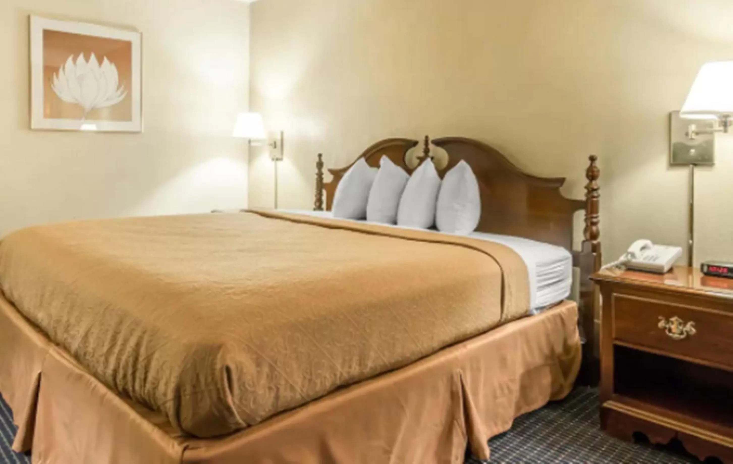 Bed in Quality Inn Somerset