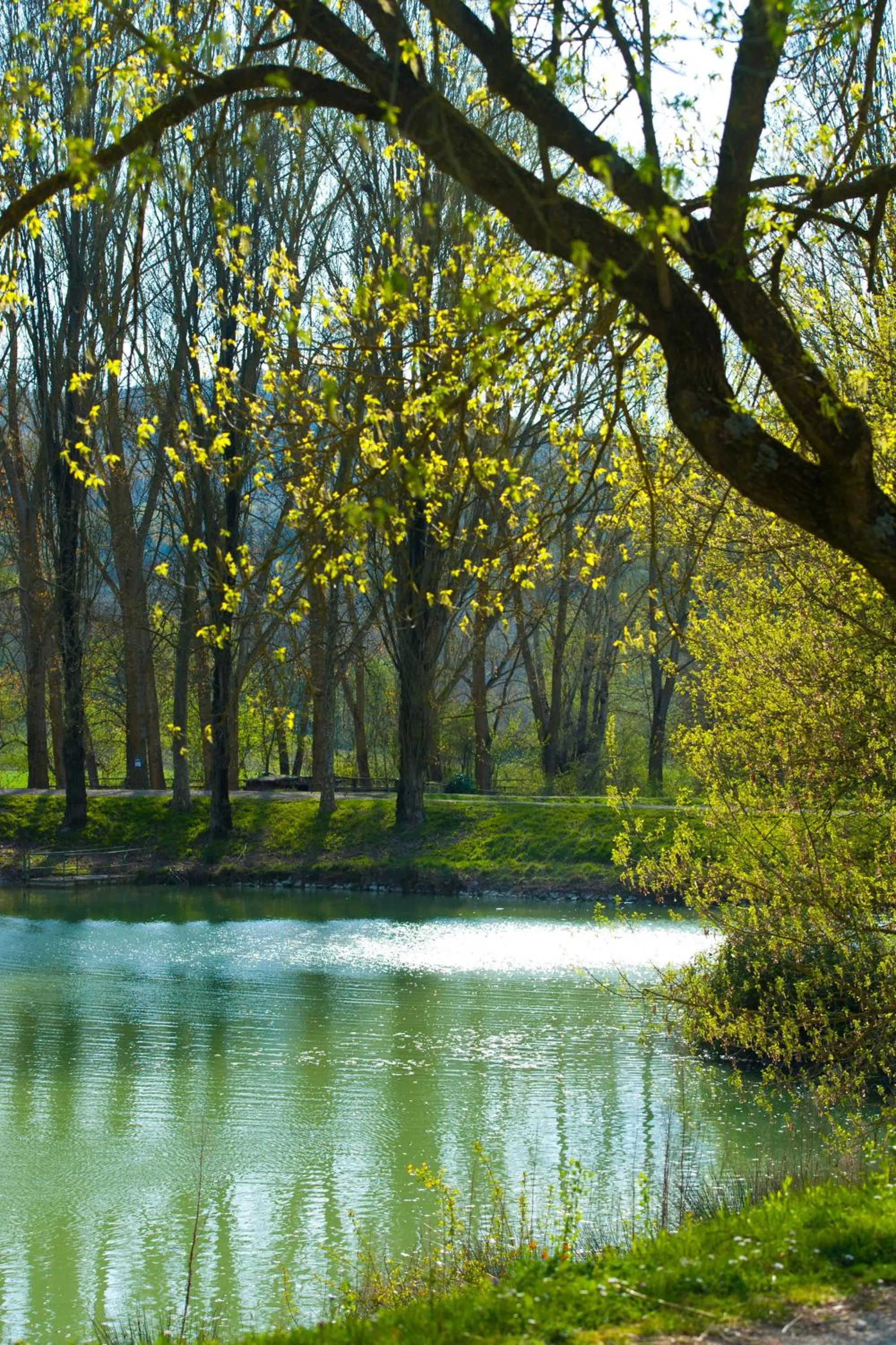 Day in Relais Todini - Residenza d'epoca - Luxury Historic house