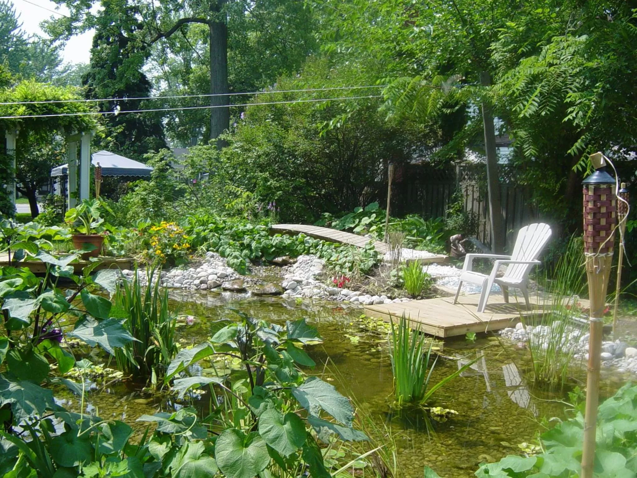 Garden view in Bondy House Bed & Breakfast