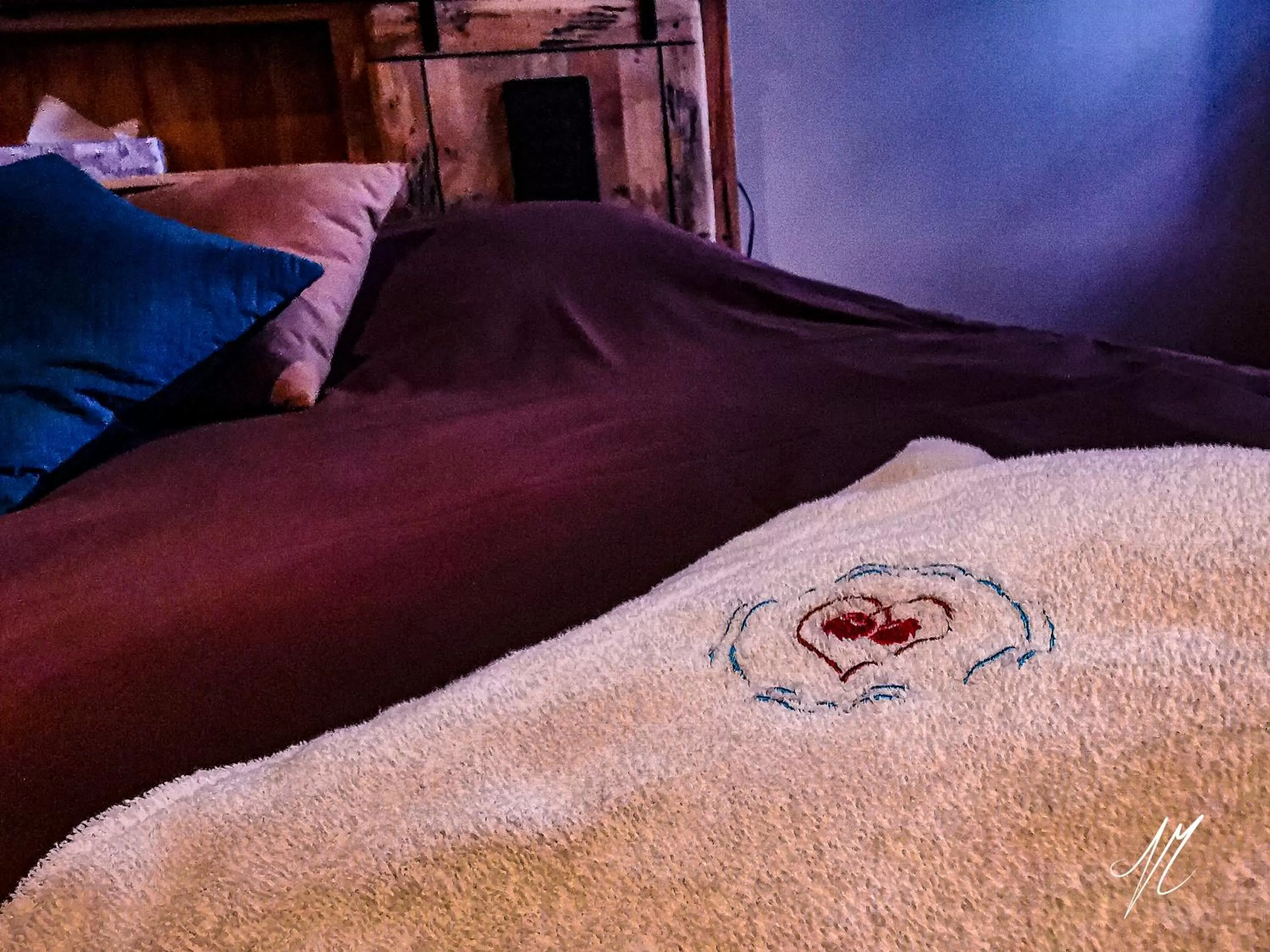 towels, Bed in LA GRANGE DES FRANGINES