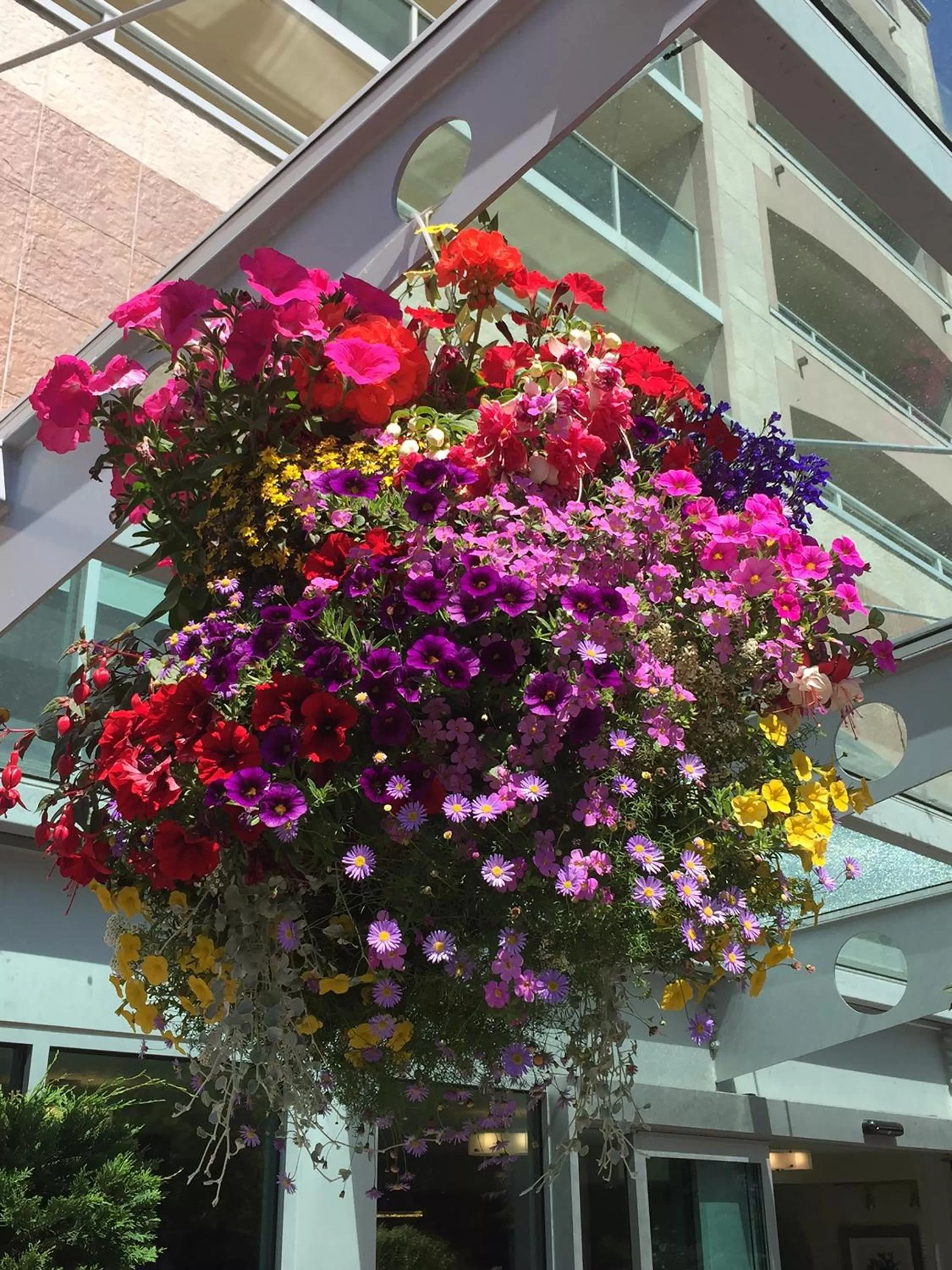 Garden in Best Western PLUS Inner Harbour Hotel