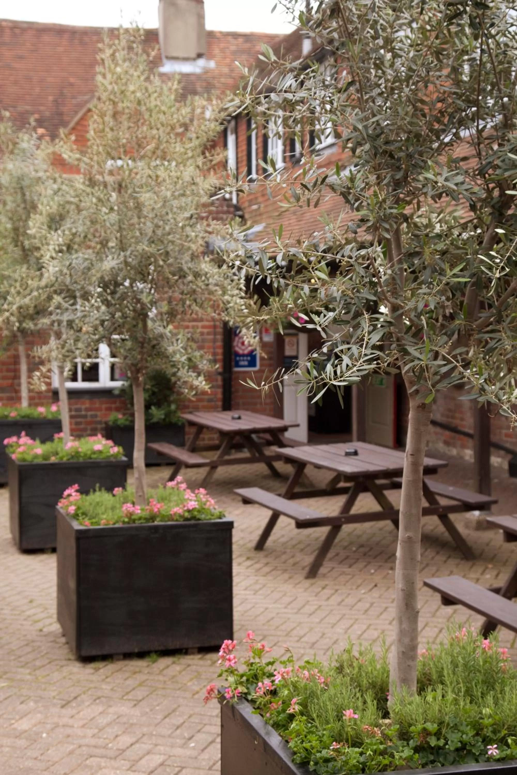 Facade/entrance in The Dog & Bear Hotel