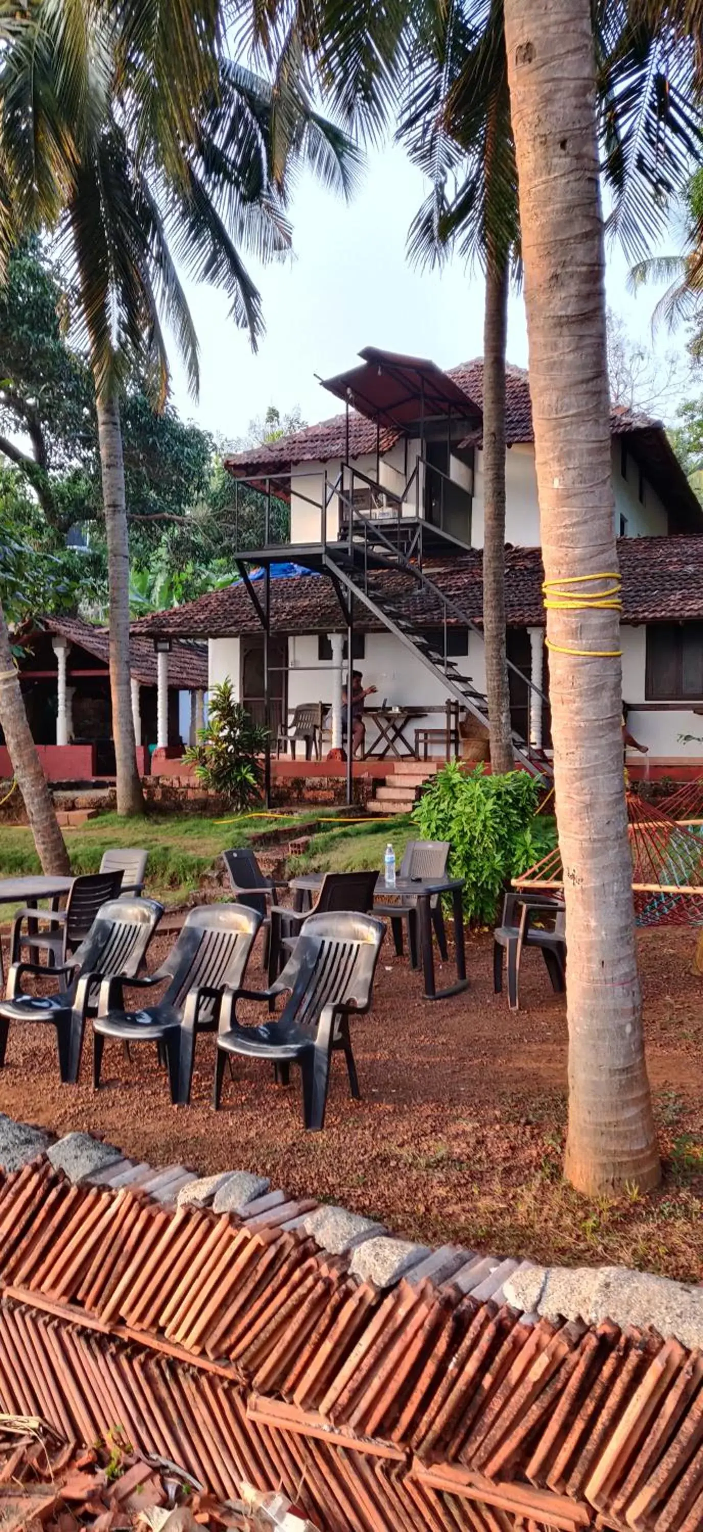 Perch by the sea Perch by the sea