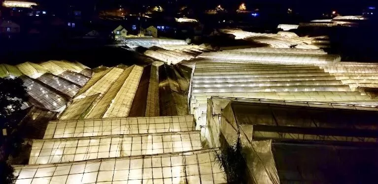 Starview Villa Dalat