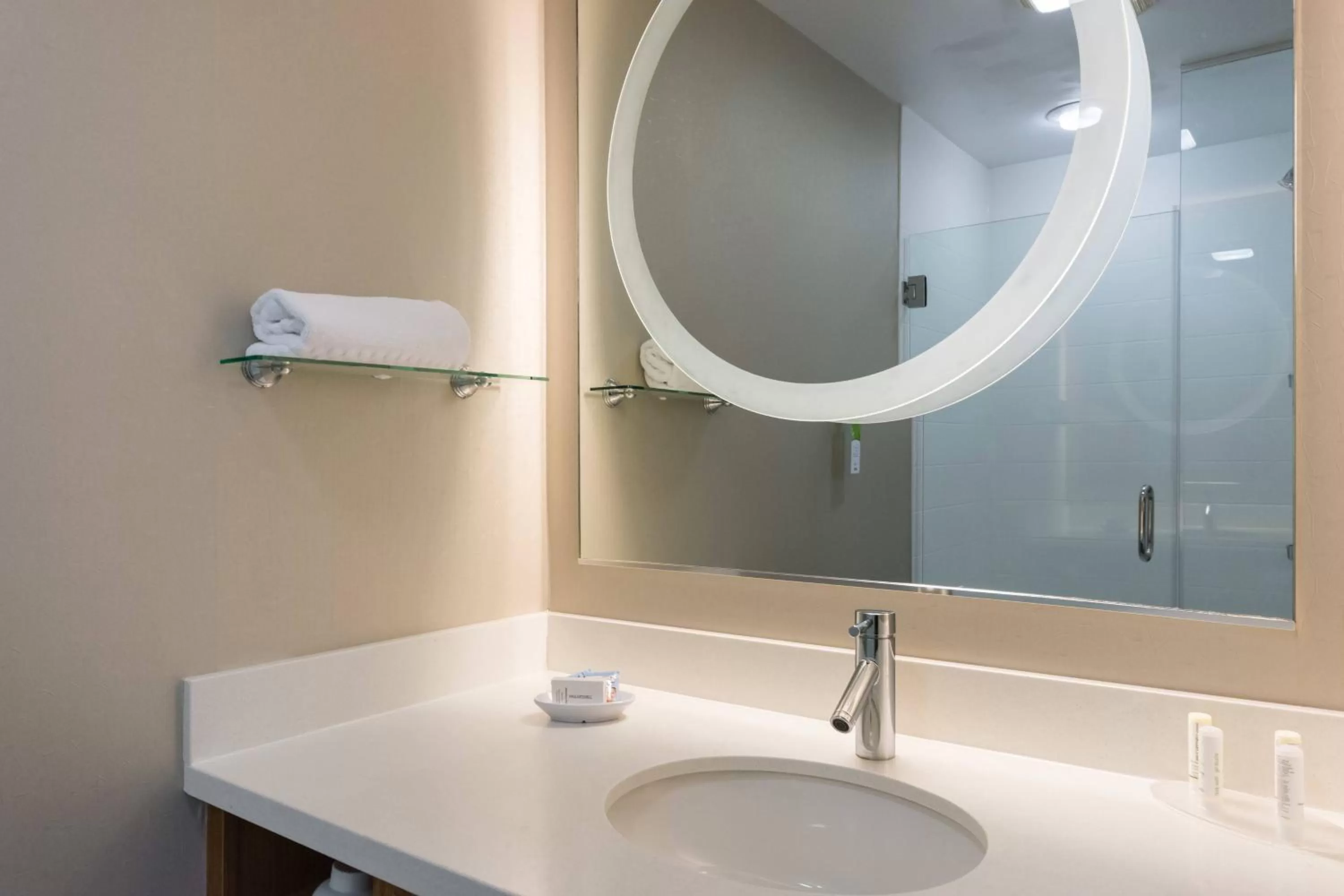 Bathroom in SpringHill Suites by Marriott Charlotte Ballantyne