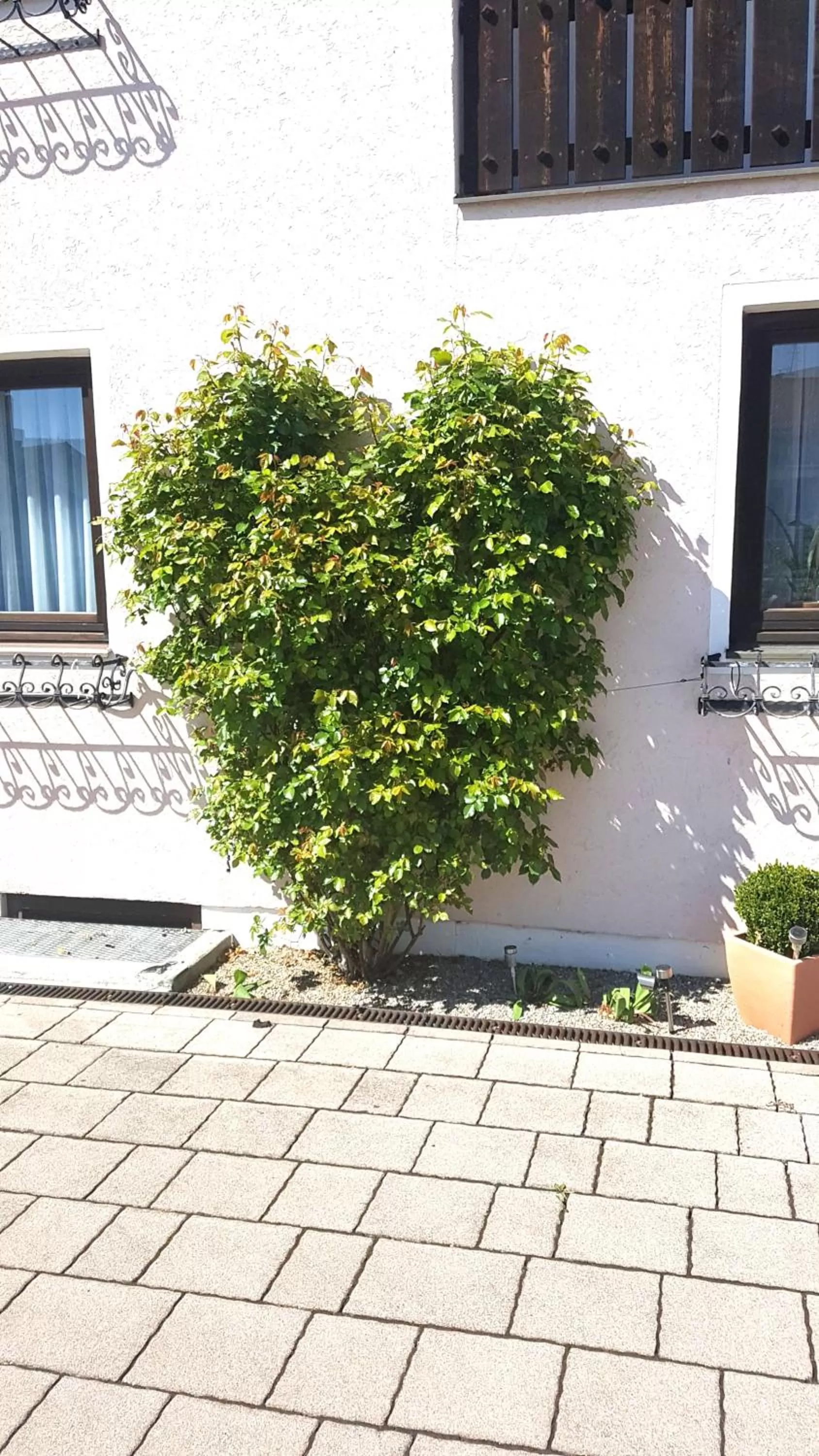 Patio in Kurhotel Anders