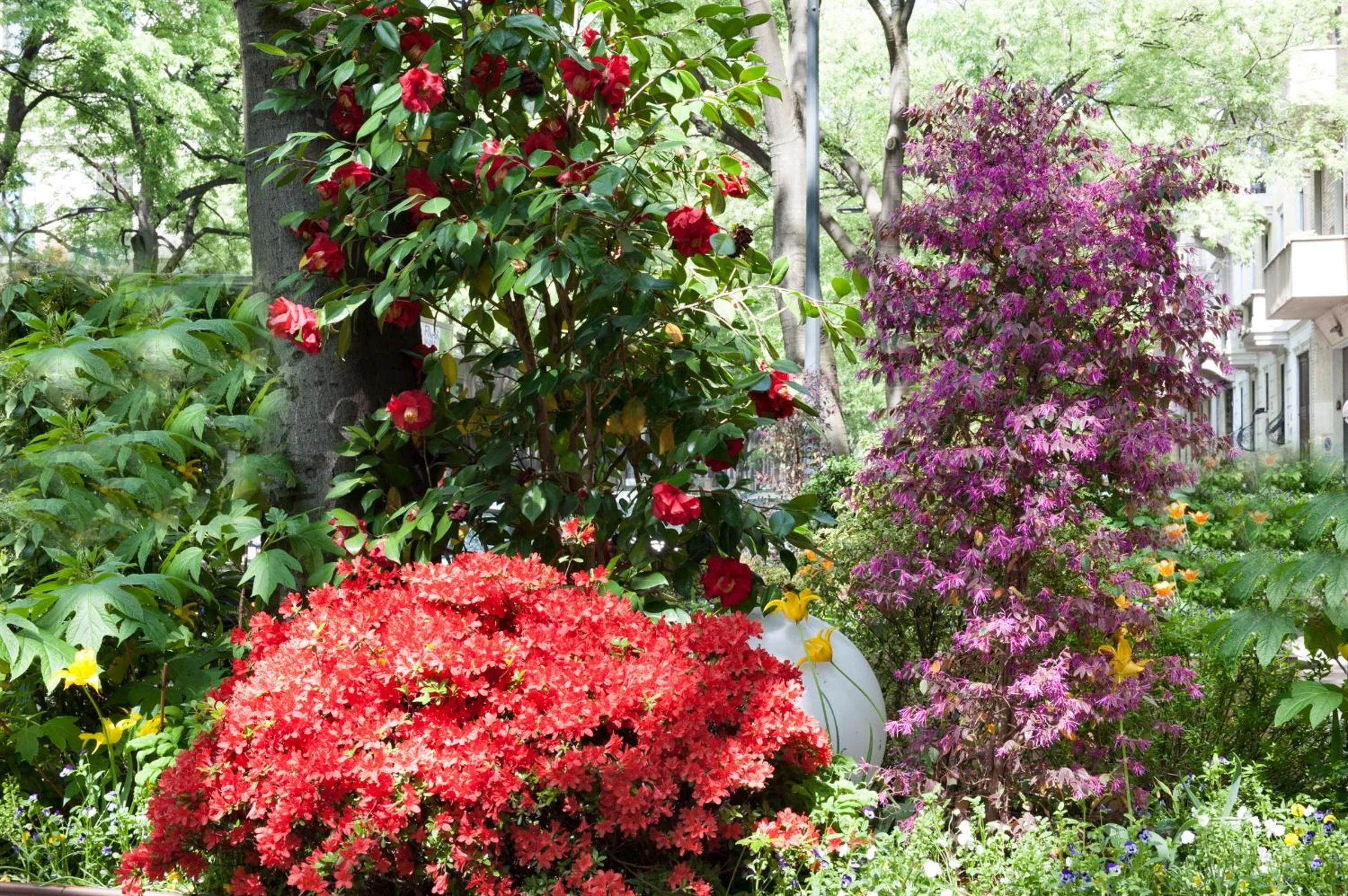 Facade/entrance in Hotel Lombardia