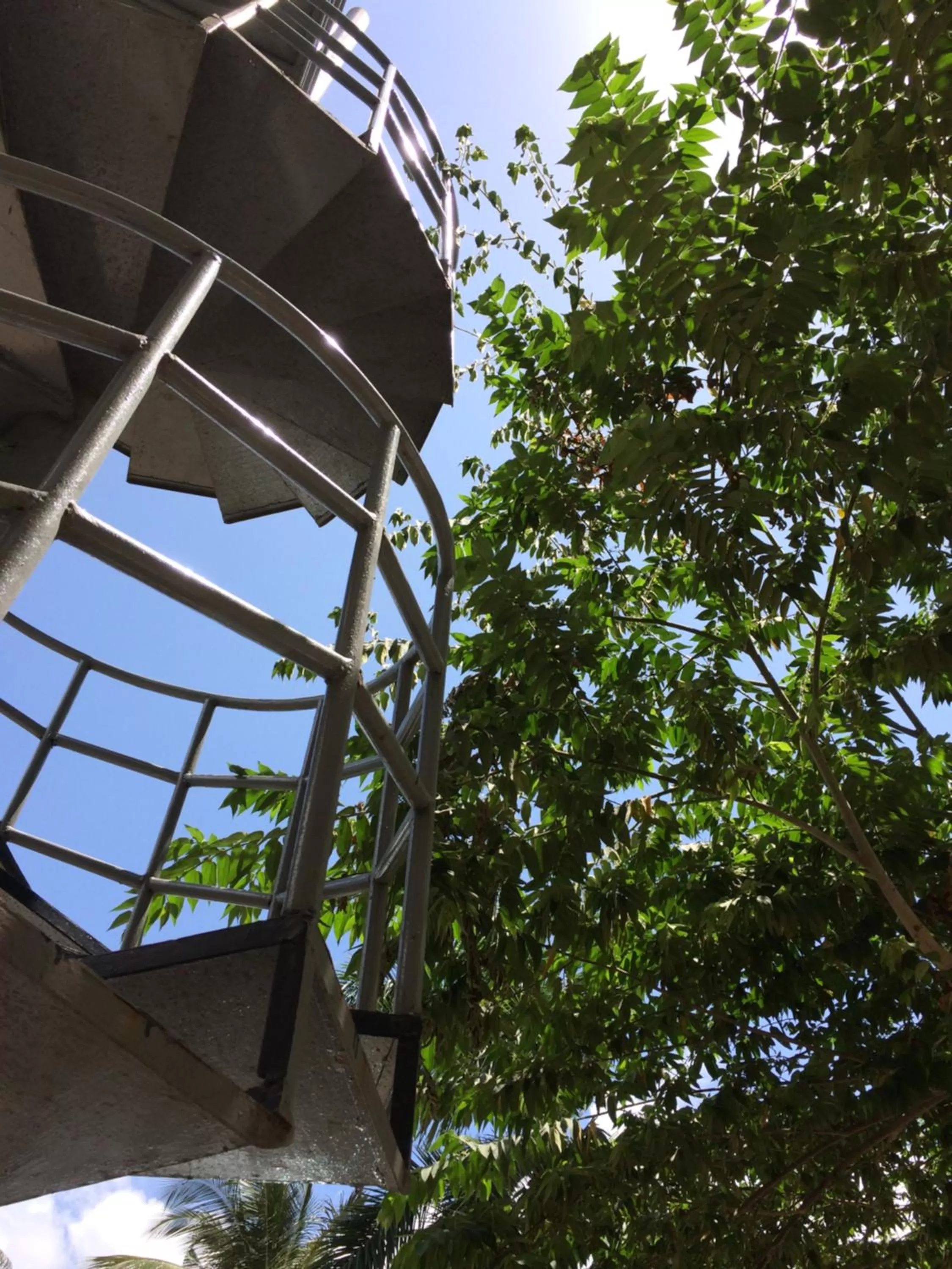 Garden in Triniti Airport Hotel