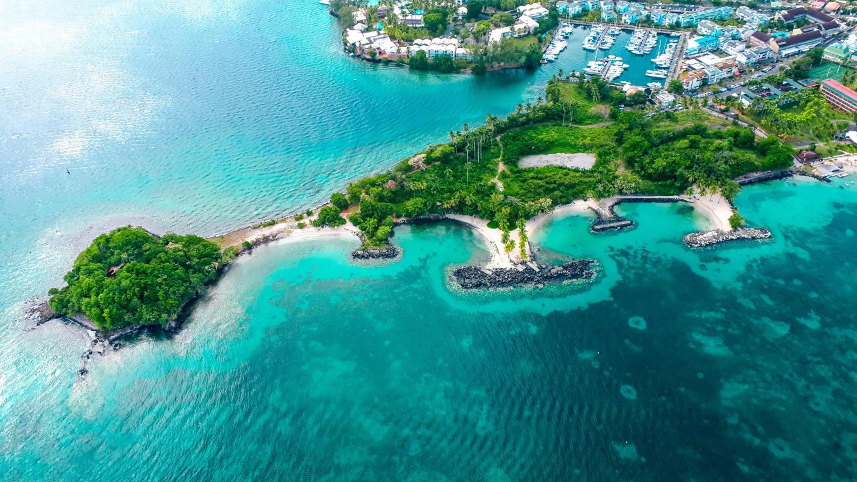 Staff in Village Creole