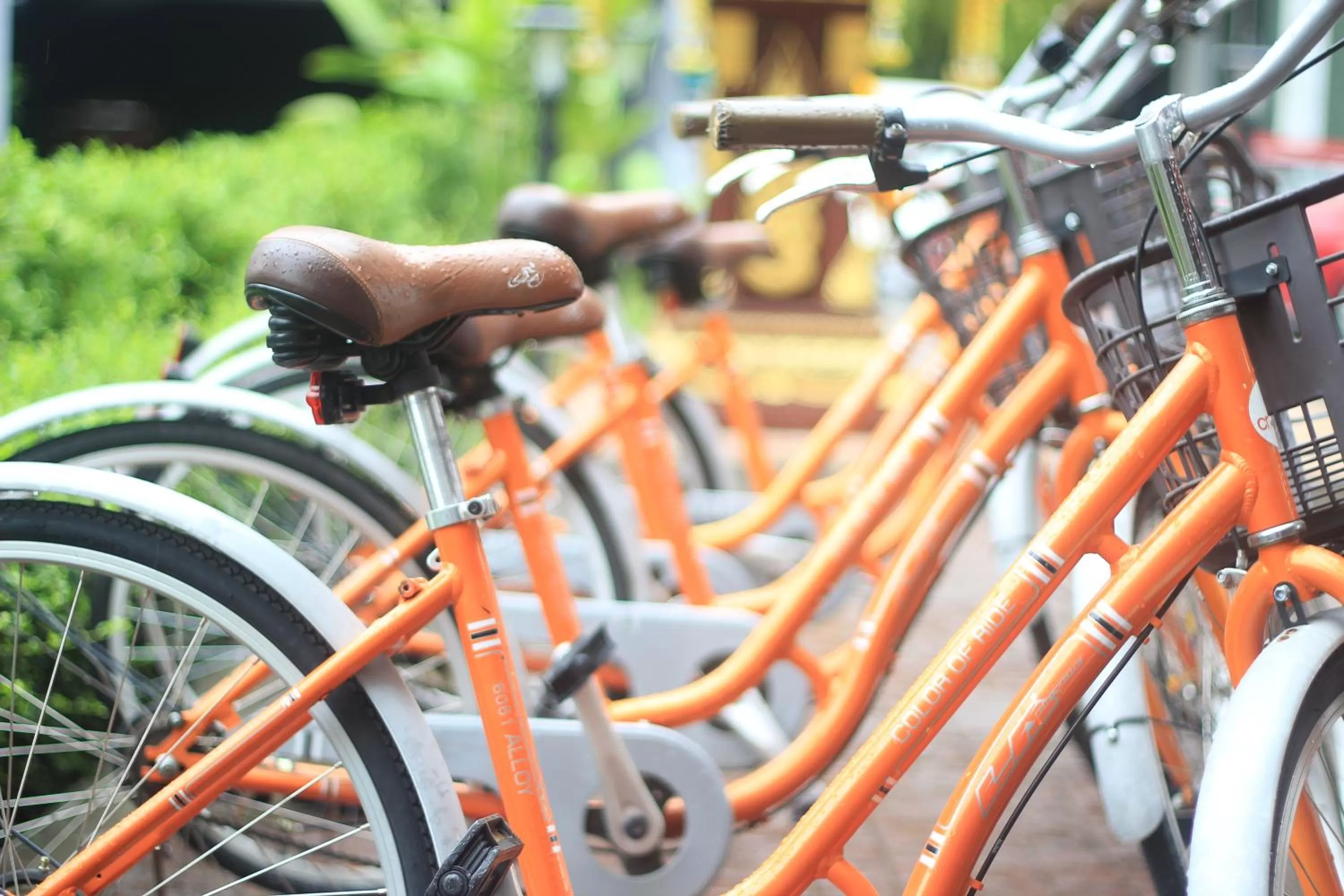 Cycling in Cmor Nimman by Recall Hotels